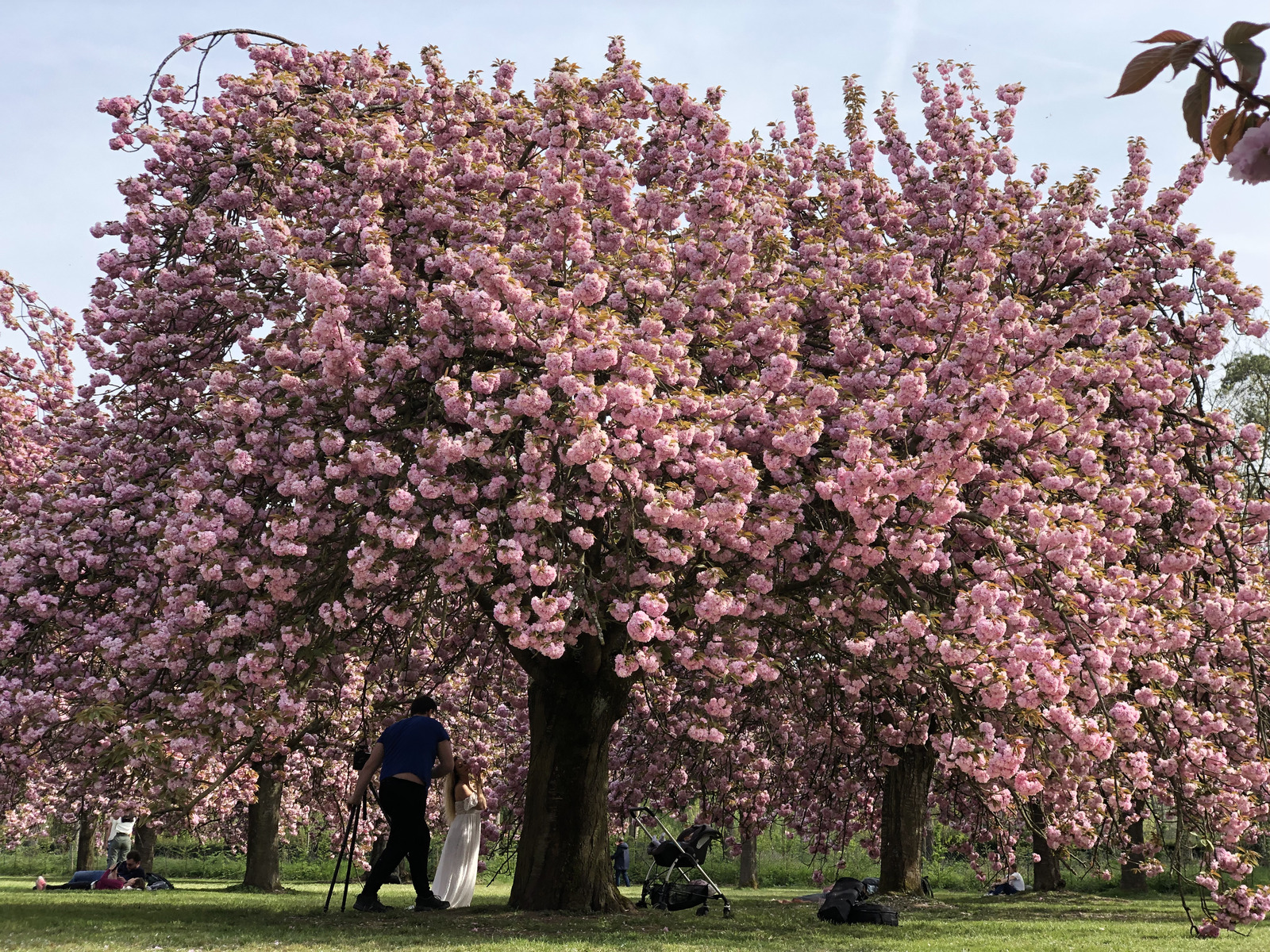 Picture France Parc de Sceaux 2019-04 37 - Store Parc de Sceaux