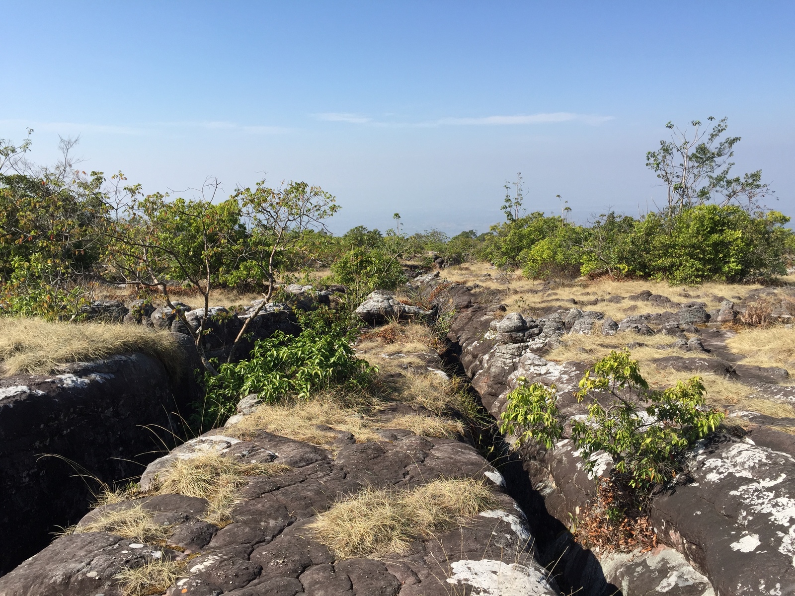 Picture Thailand Phu Hin Rong Kla National Park 2014-12 39 - Flights Phu Hin Rong Kla National Park