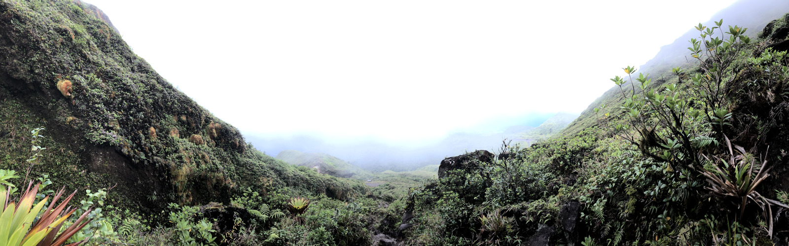 Picture Guadeloupe La Grande Soufriere 2021-02 67 - Tourist La Grande Soufriere