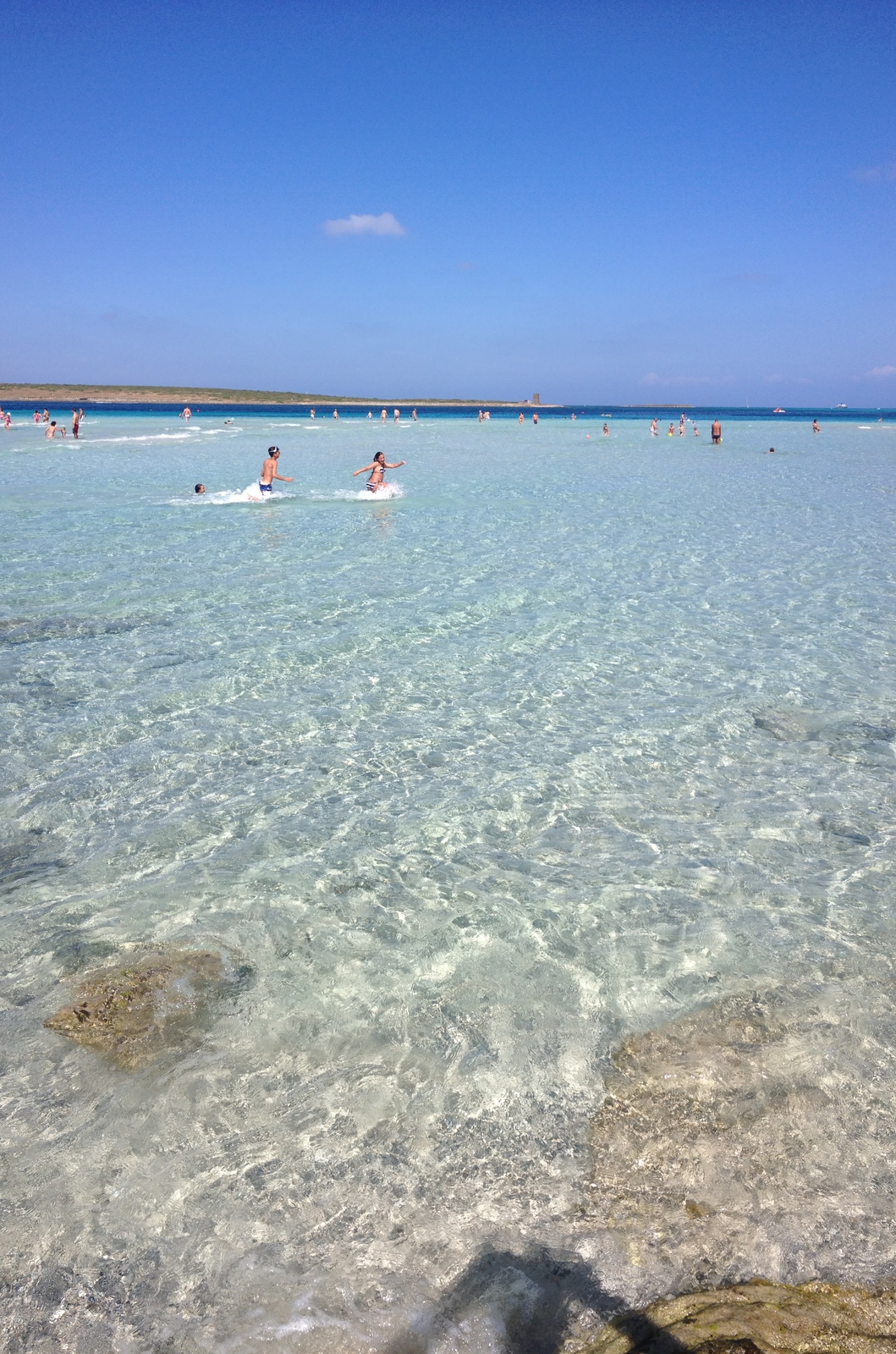 Picture Italy Sardinia Capo del Falcone 2015-06 54 - Trip Capo del Falcone