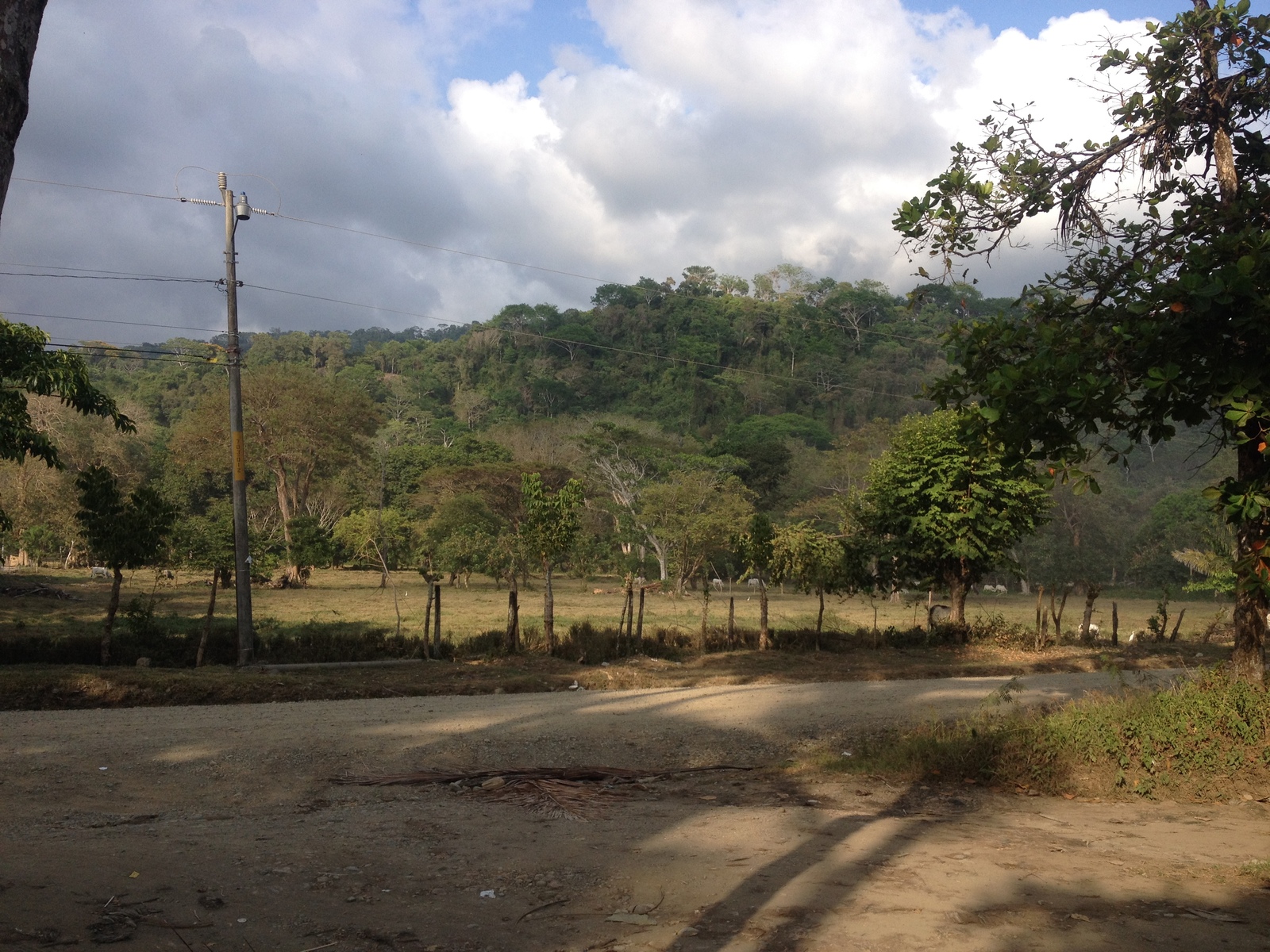 Picture Costa Rica Dominical 2015-03 125 - Sight Dominical