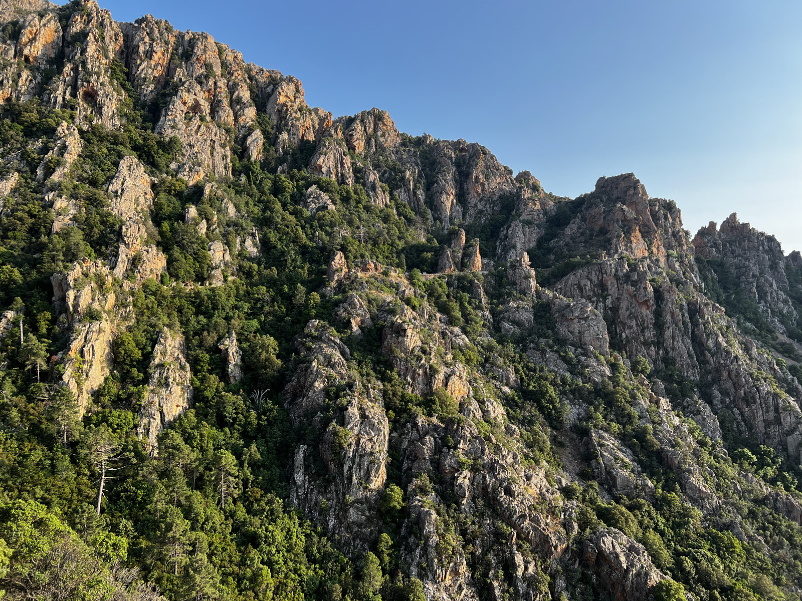 Picture France Corsica Calanques de Piana 2023-06 32 - Photographer Calanques de Piana