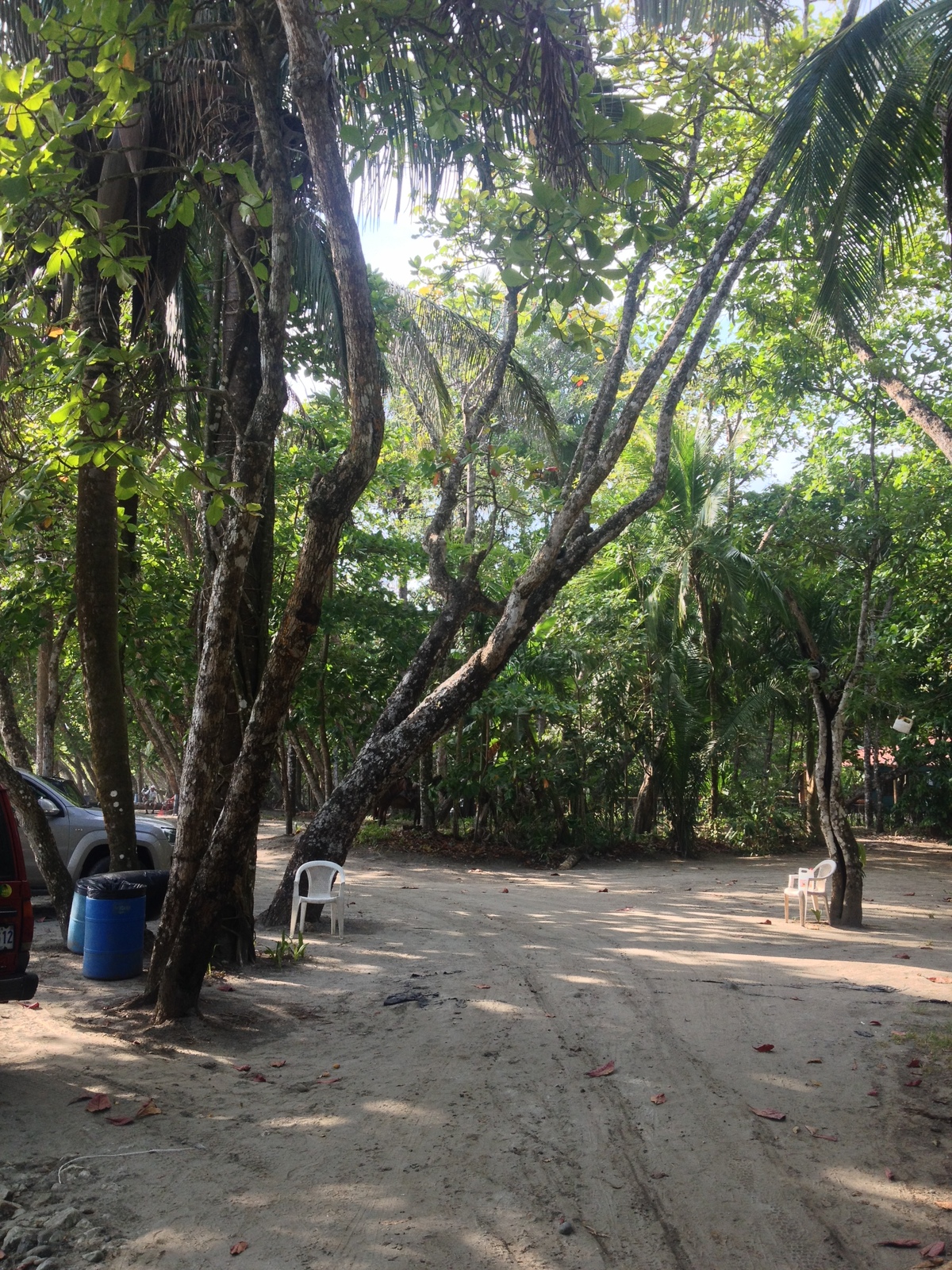 Picture Costa Rica Manuel Antonio 2015-03 169 - Perspective Manuel Antonio