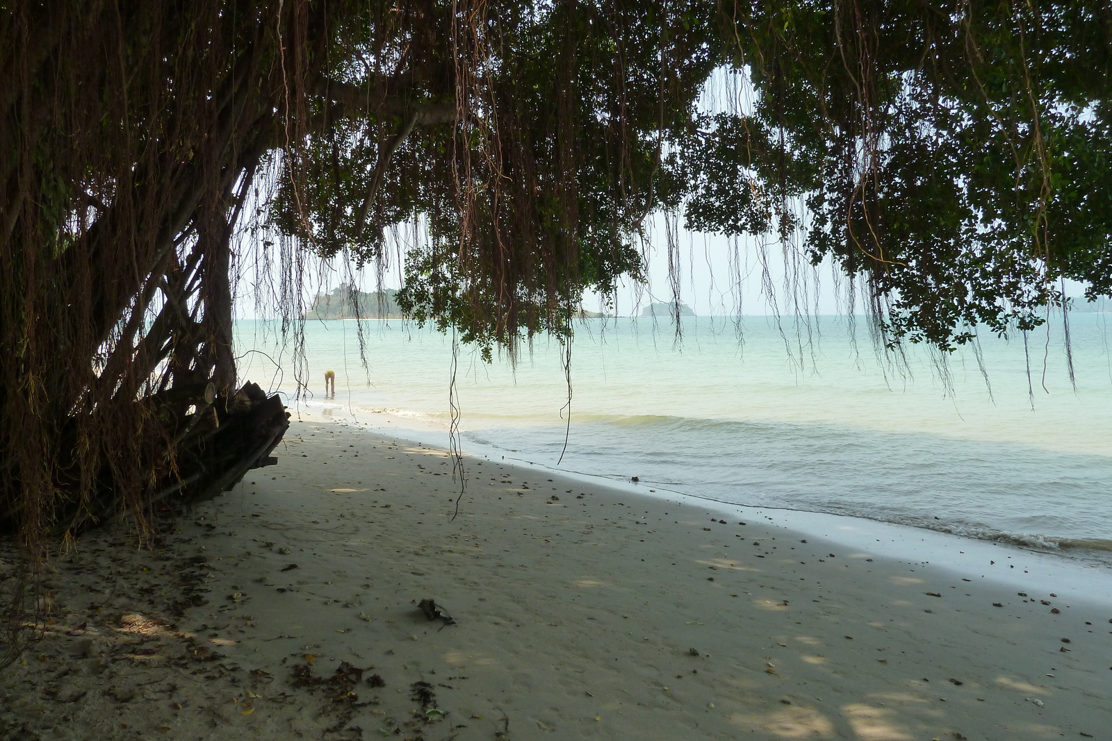 Picture Thailand Ko Chang Klong Prao beach 2011-02 61 - Photos Klong Prao beach