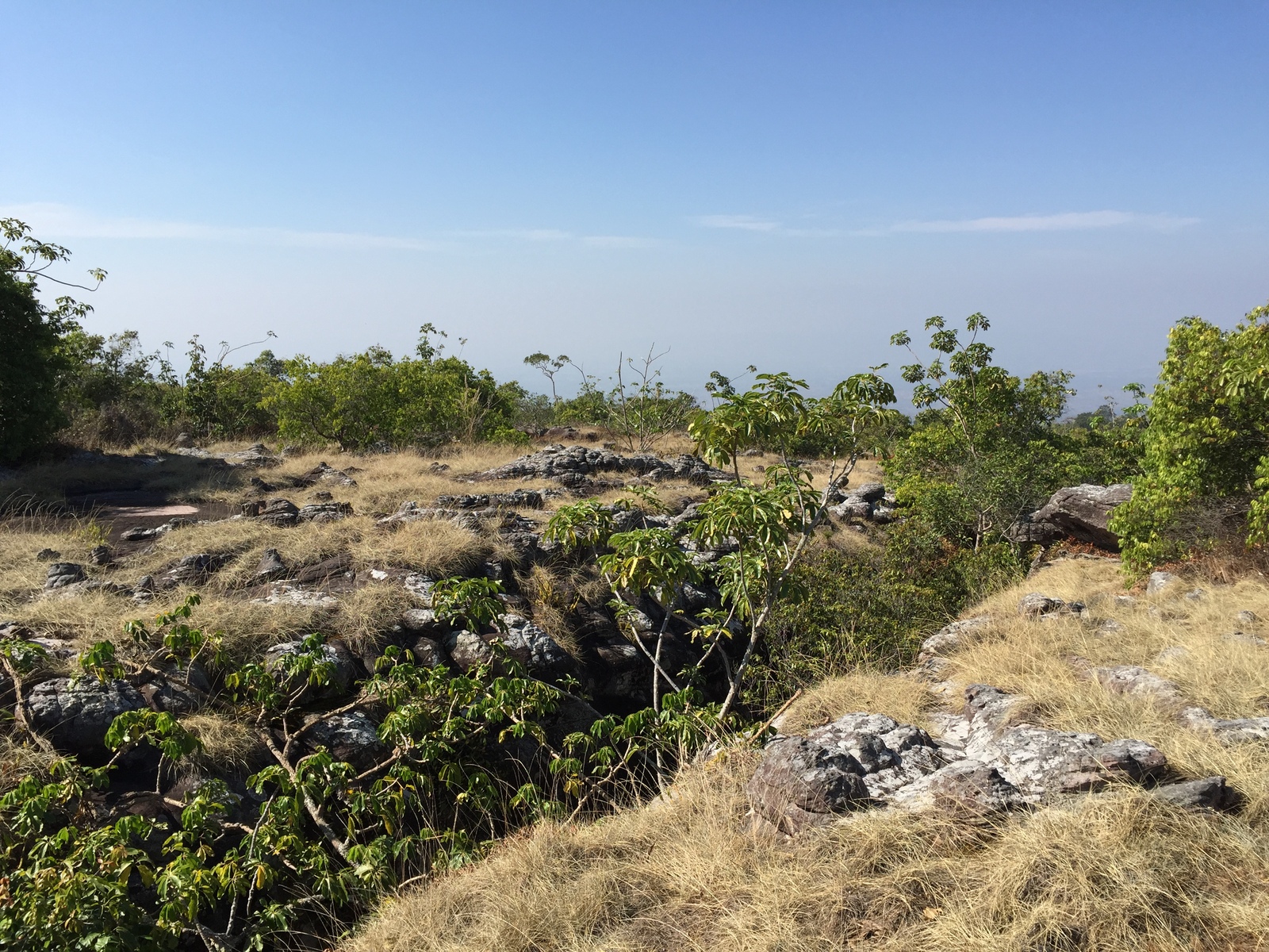 Picture Thailand Phu Hin Rong Kla National Park 2014-12 73 - Road Phu Hin Rong Kla National Park