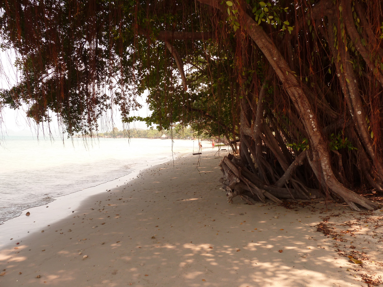 Picture Thailand Ko Chang Klong Prao beach 2011-02 102 - Perspective Klong Prao beach