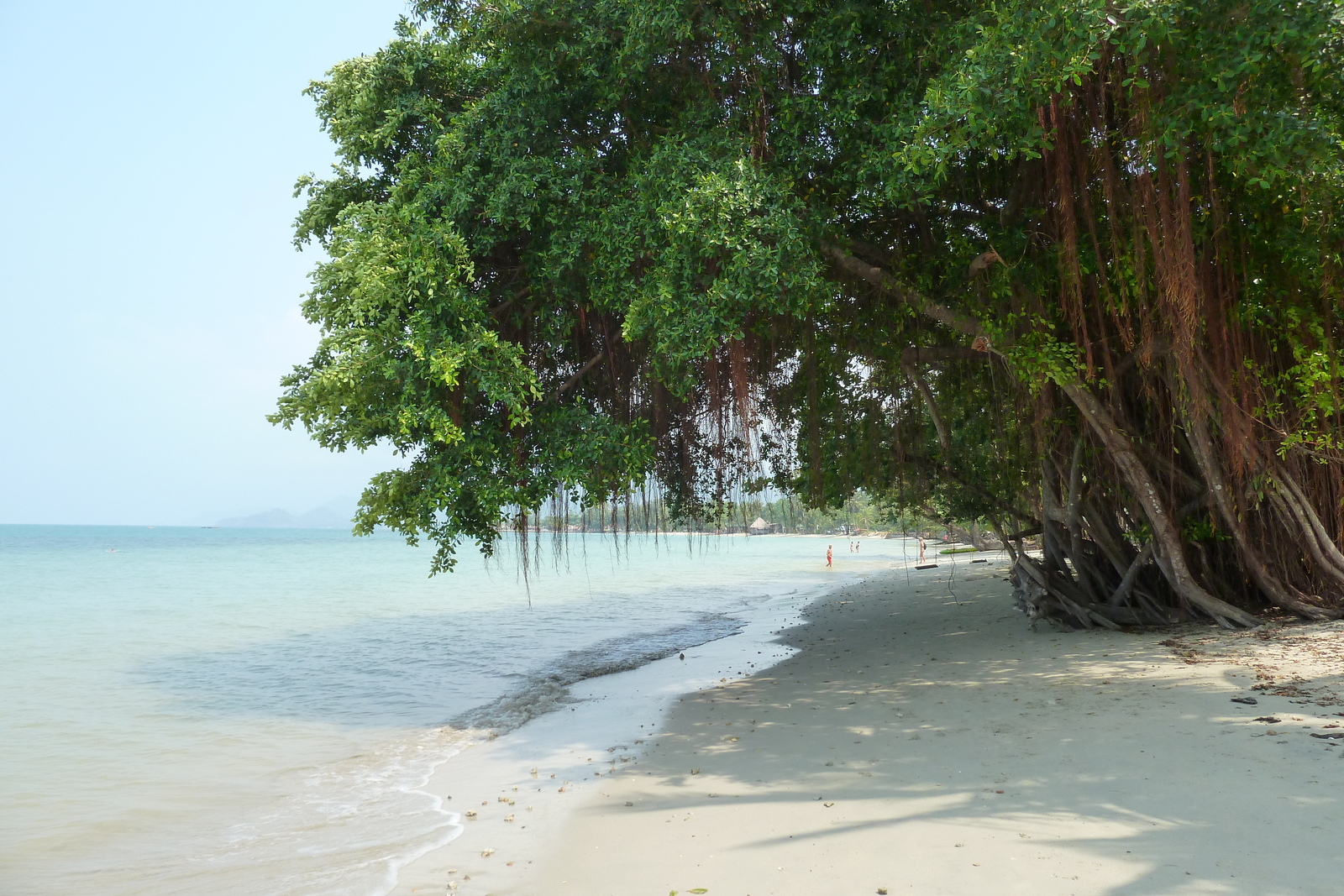 Picture Thailand Ko Chang Klong Prao beach 2011-02 89 - Perspective Klong Prao beach