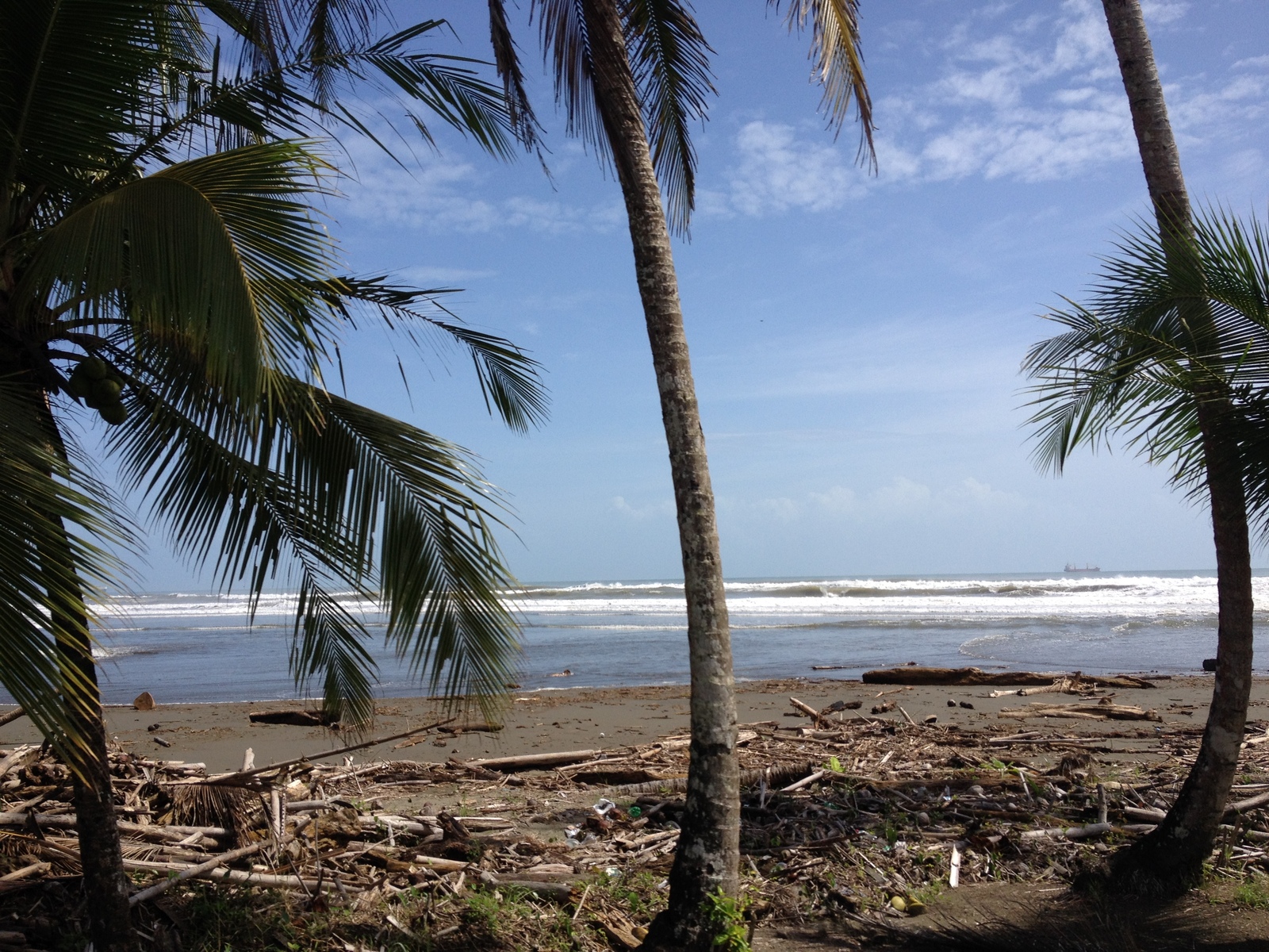 Picture Costa Rica Limon to Siquirres 2015-03 8 - Pictures Limon to Siquirres