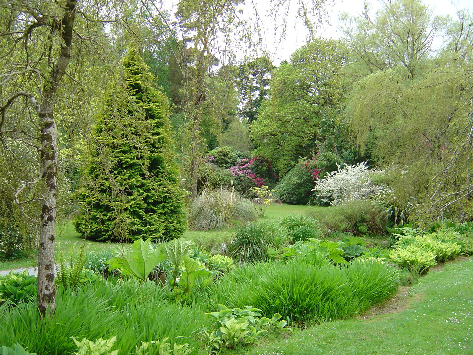 Picture Ireland Kerry Killarney National Park Muckross House 2004-05 11 - Visit Muckross House