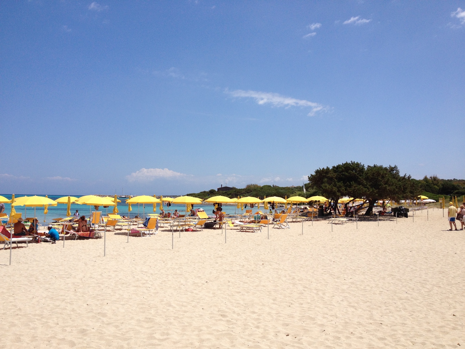 Picture Italy Sardinia Capo del Falcone 2015-06 18 - Perspective Capo del Falcone