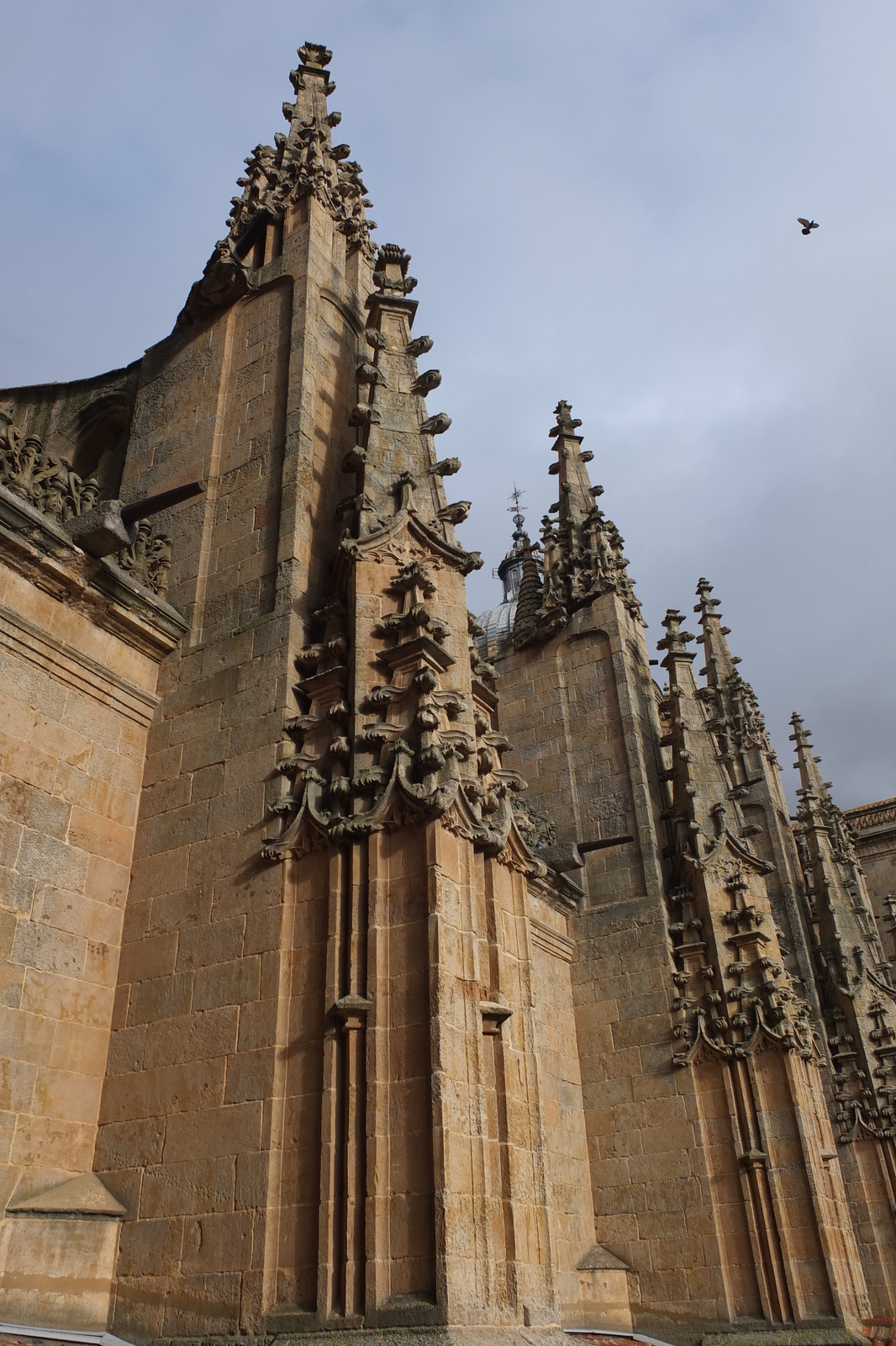 Picture Spain Salamanca 2013-01 44 - Photos Salamanca