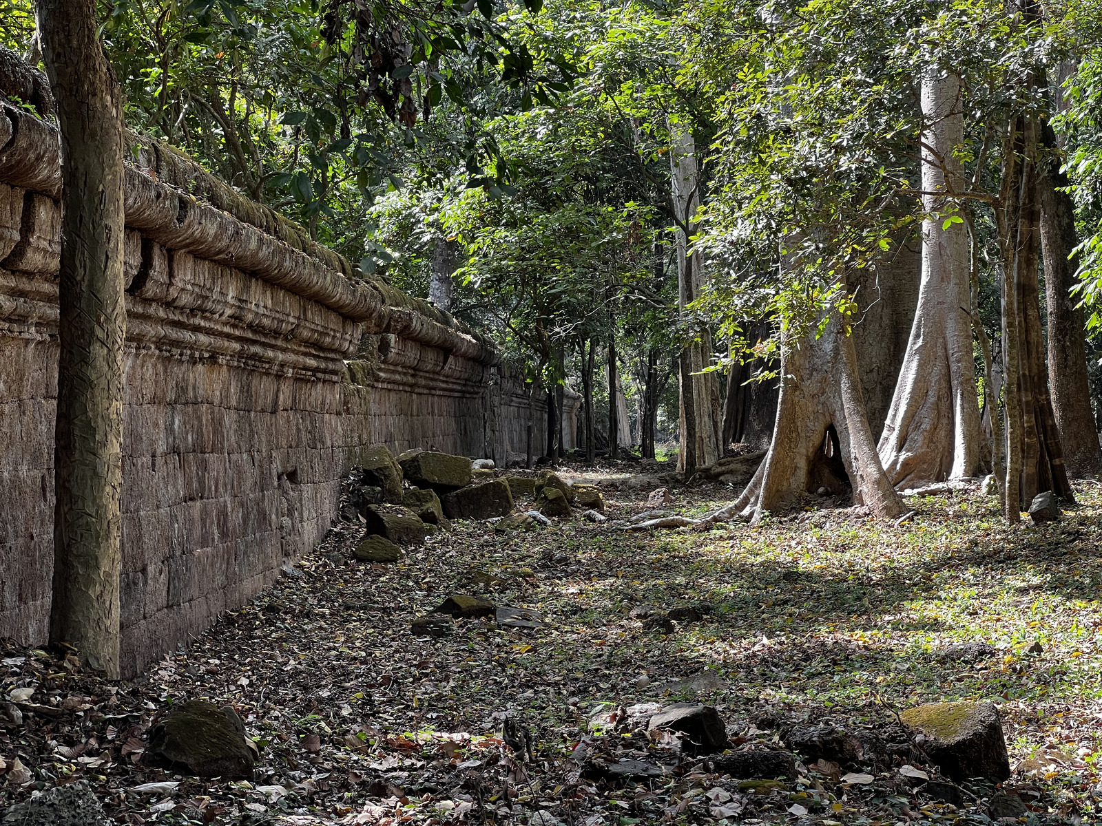 Picture Cambodia Siem Reap Angkor Thom 2023-01 27 - Perspective Angkor Thom