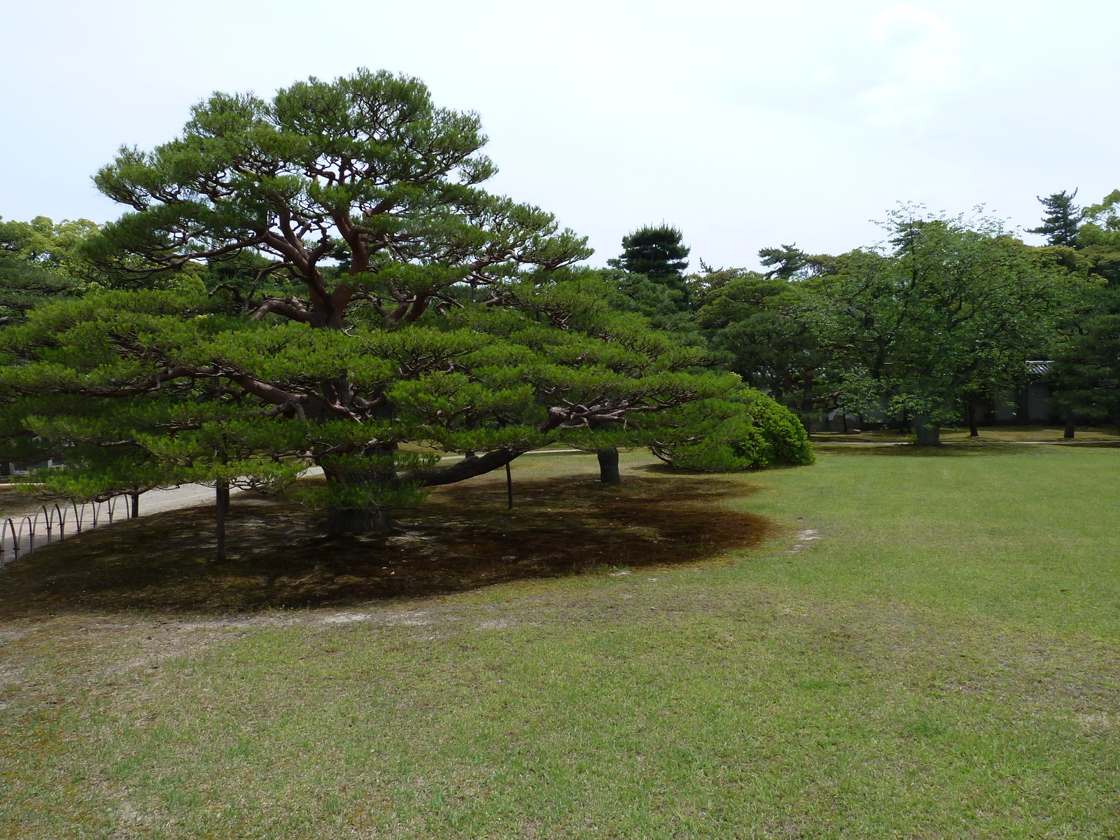 Picture Japan Kyoto Nijo Castle 2010-06 64 - Picture Nijo Castle