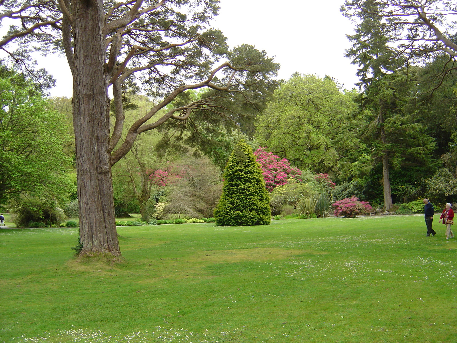 Picture Ireland Kerry Killarney National Park Muckross House 2004-05 10 - Pictures Muckross House