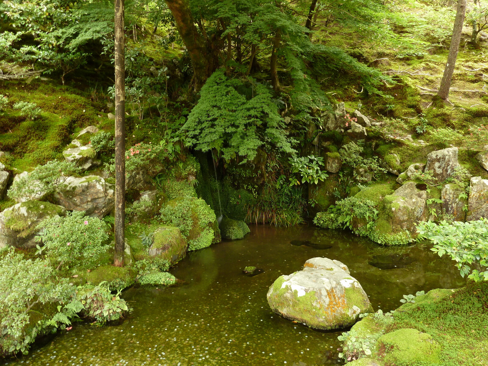 Picture Japan Kyoto Ginkakuji Temple(Silver Pavilion) 2010-06 35 - Picture Ginkakuji Temple(Silver Pavilion)