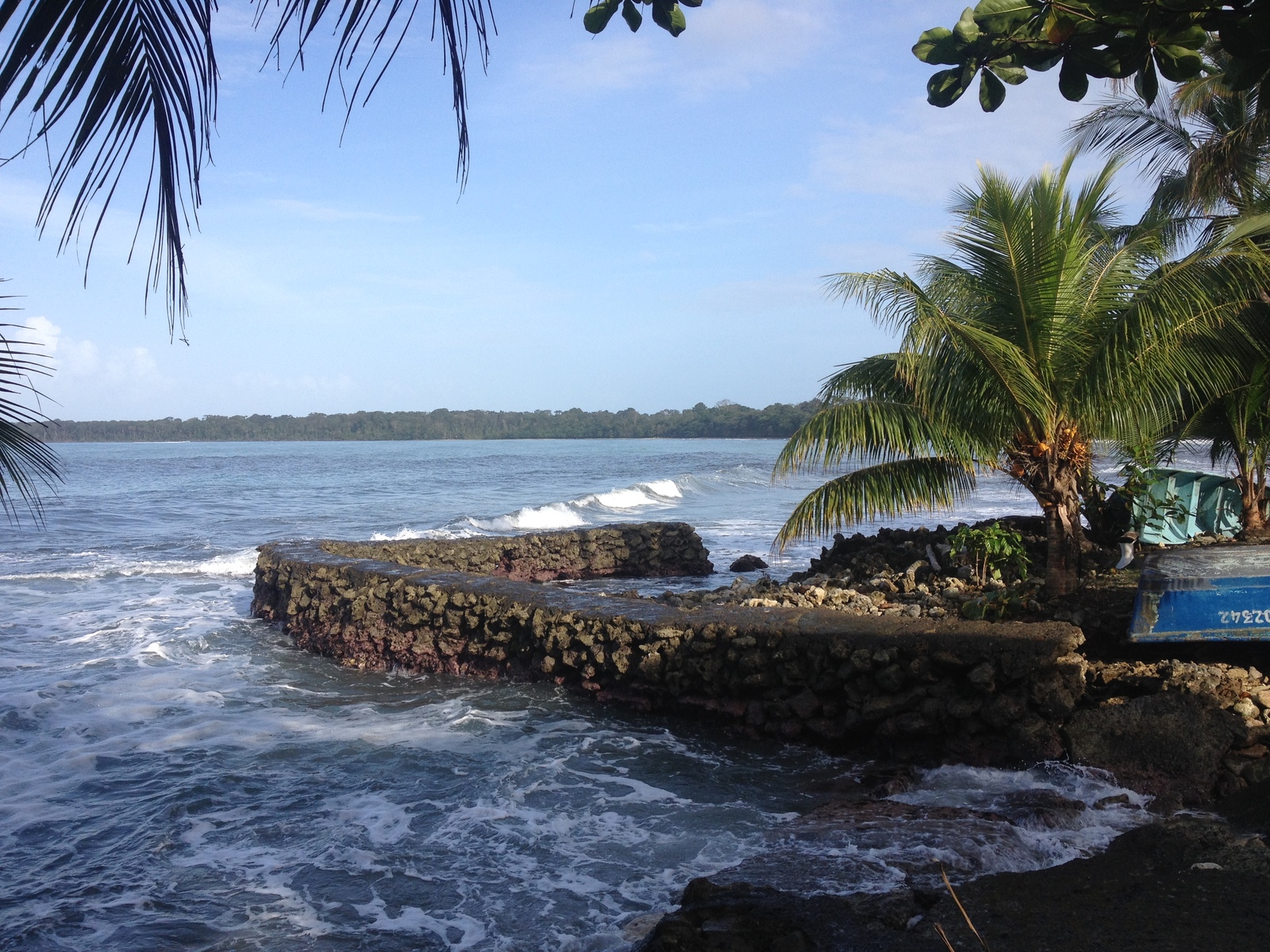 Picture Costa Rica Cahuita 2015-03 73 - Picture Cahuita