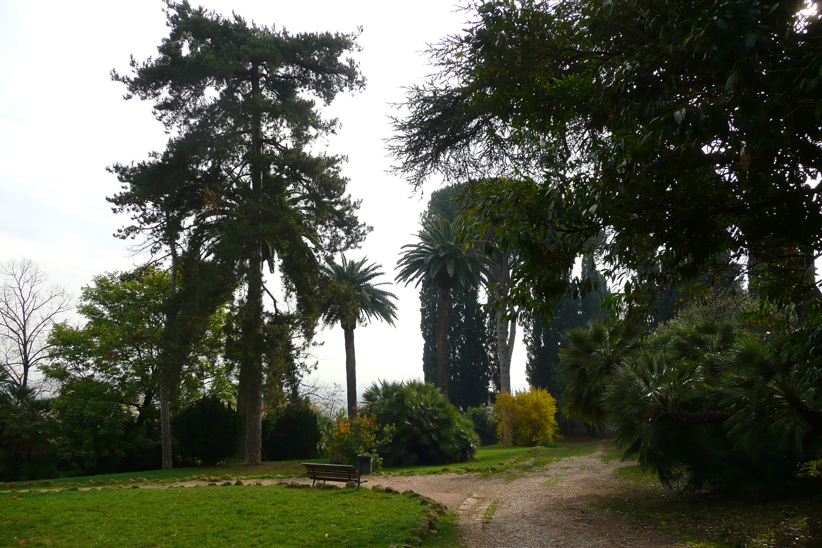 Picture Italy Rome Villa Sciarra 2007-11 26 - Visit Villa Sciarra