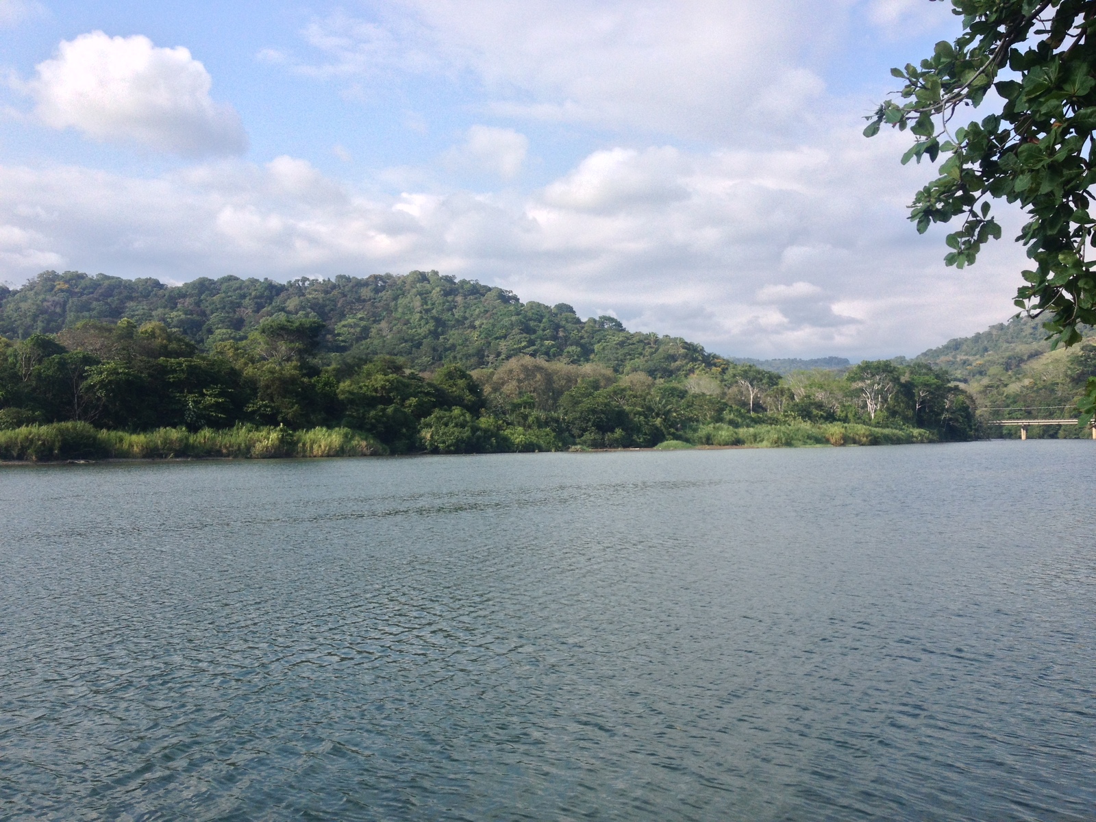 Picture Costa Rica Dominical 2015-03 78 - Flight Dominical