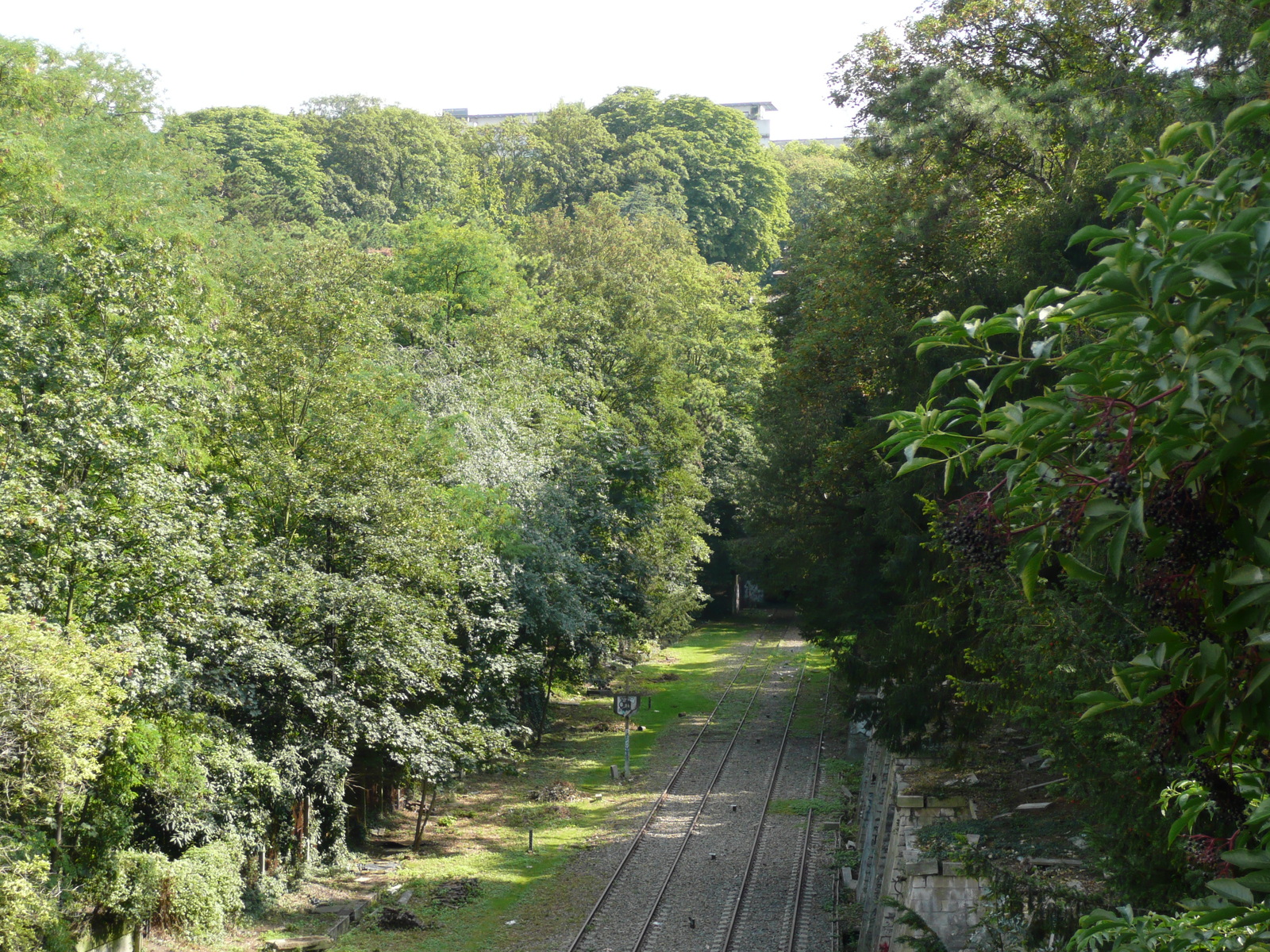 Picture France Paris Parc des Butes Chaumont 2007-08 129 - Picture Parc des Butes Chaumont