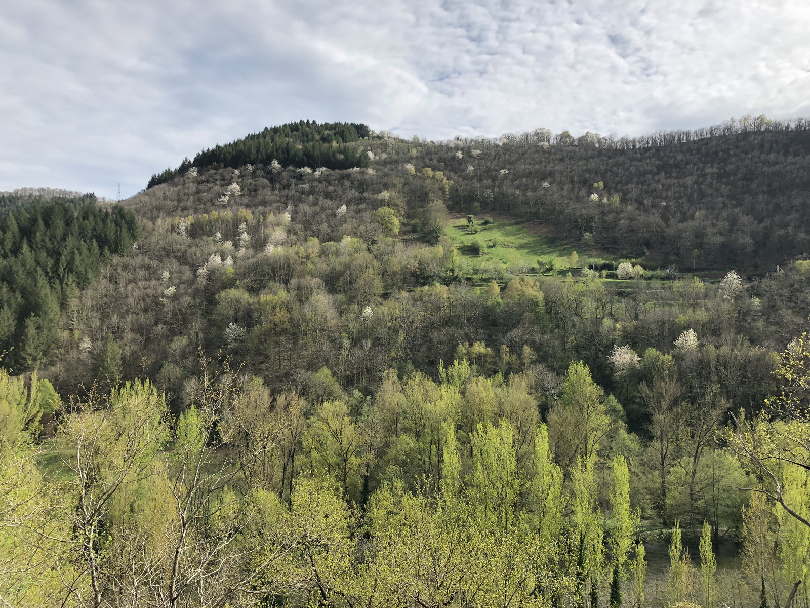 Picture France Conques 2018-04 167 - Picture Conques