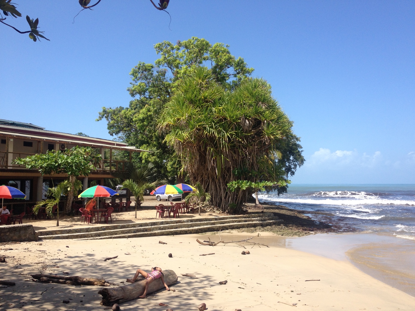 Picture Costa Rica Cahuita 2015-03 260 - Visit Cahuita