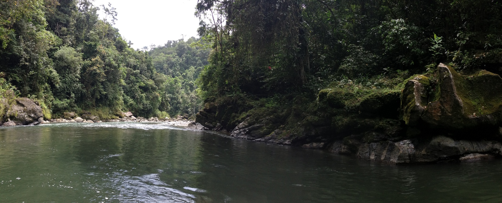 Picture Costa Rica Pacuare River 2015-03 66 - Flights Pacuare River