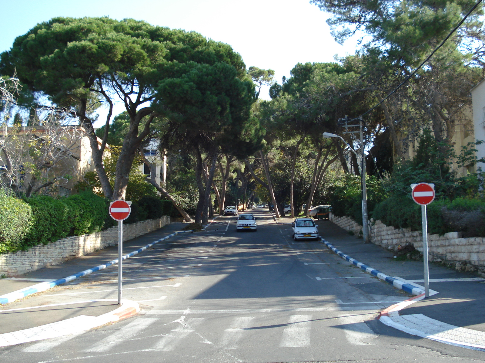 Picture Israel Haifa Carmel 2006-12 40 - Road Carmel