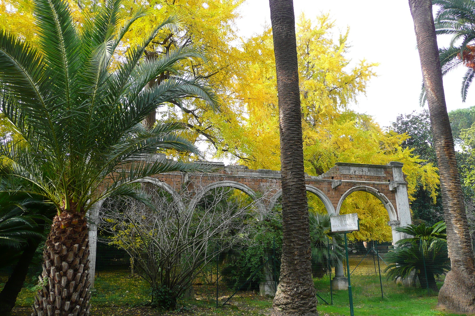 Picture Italy Rome Villa Sciarra 2007-11 64 - Views Villa Sciarra