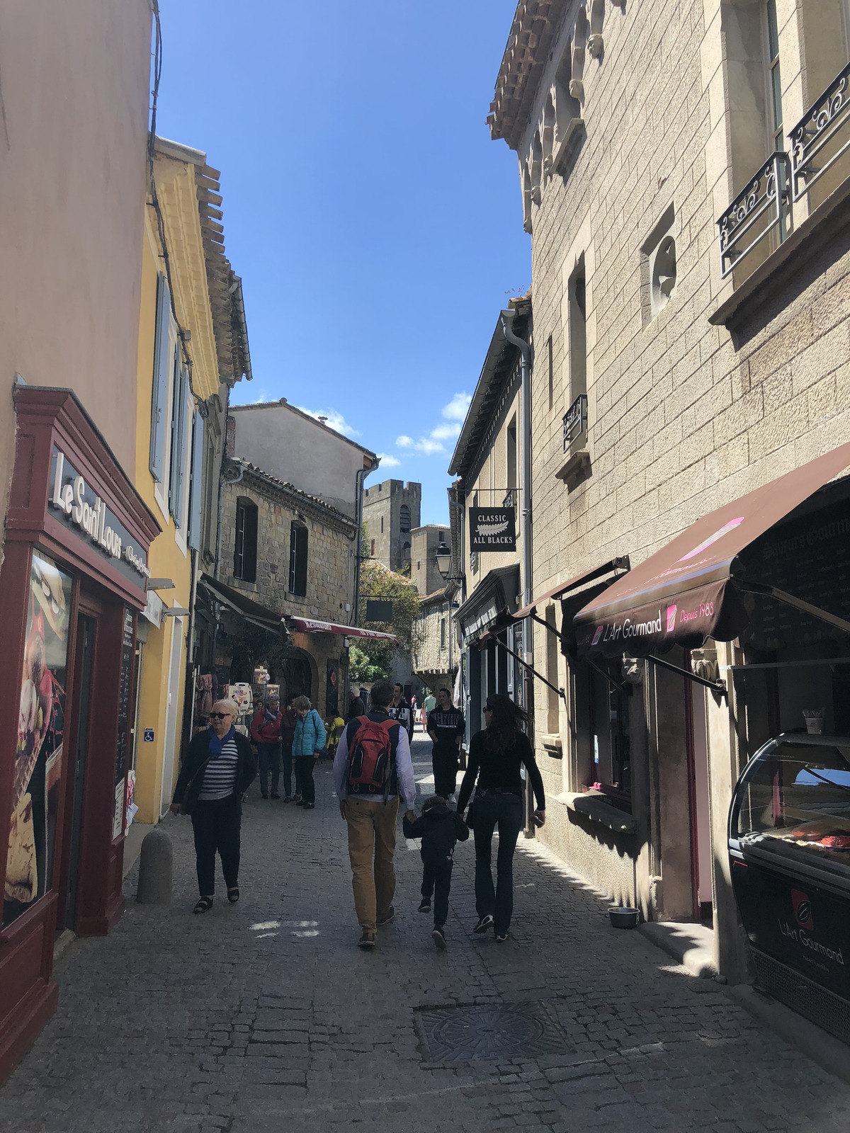 Picture France Carcassonne 2018-04 21 - View Carcassonne