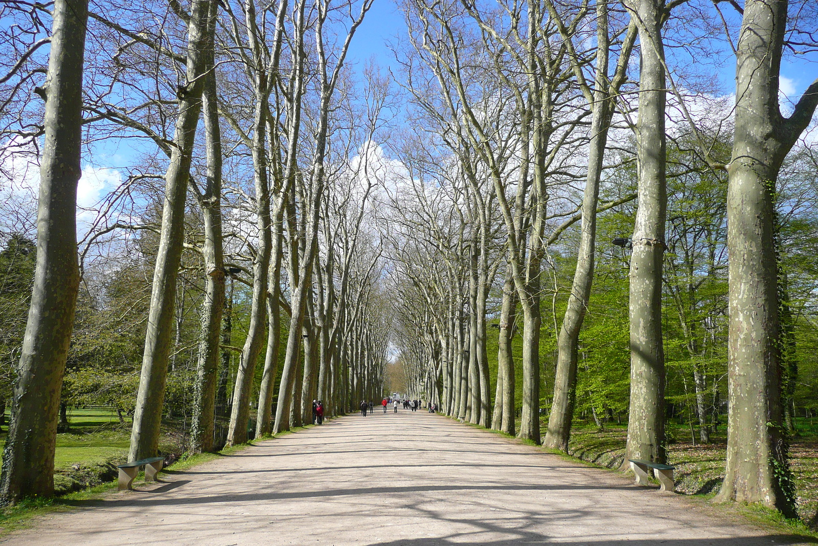 Picture France Chenonceau Castle Gardens of Chenonceau 2008-04 80 - Views Gardens of Chenonceau