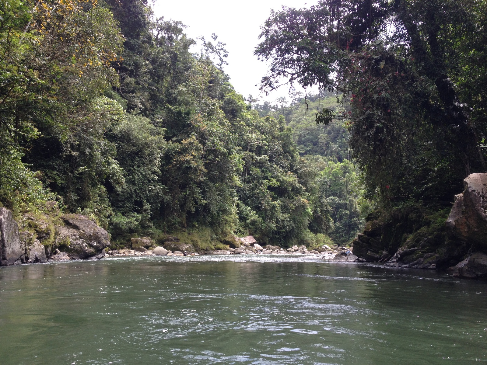 Picture Costa Rica Pacuare River 2015-03 79 - Travels Pacuare River