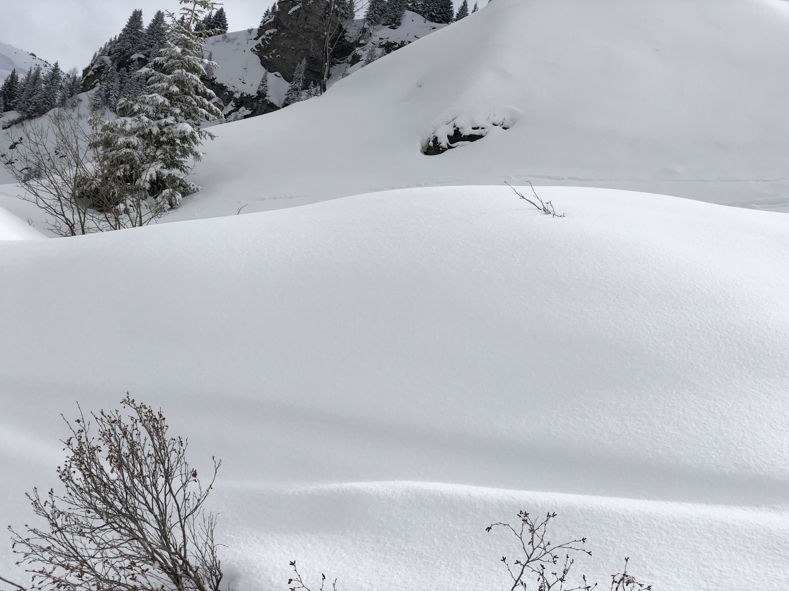 Picture France Megeve 2019-03 58 - Visit Megeve