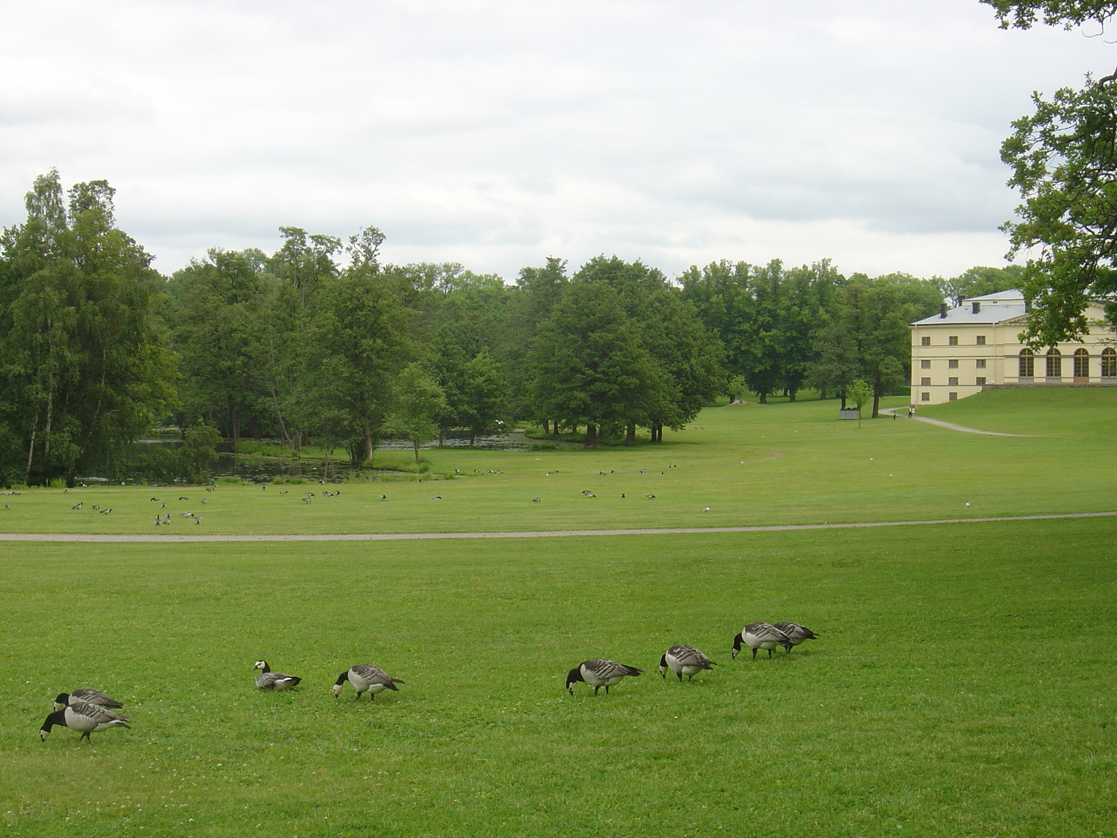 Picture Sweden Drottningholm 2005-06 6 - Photographer Drottningholm