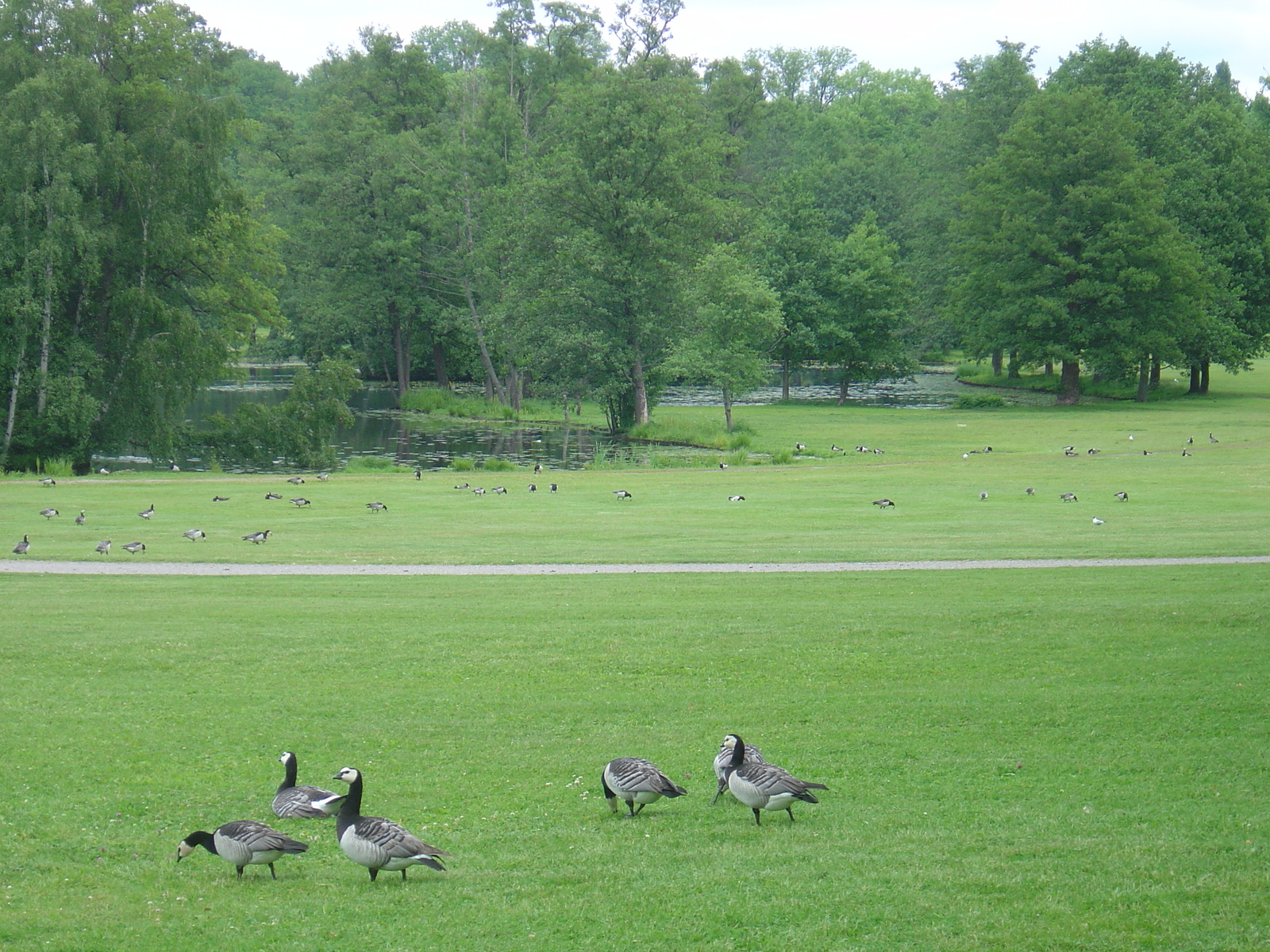 Picture Sweden Drottningholm 2005-06 7 - Trip Drottningholm