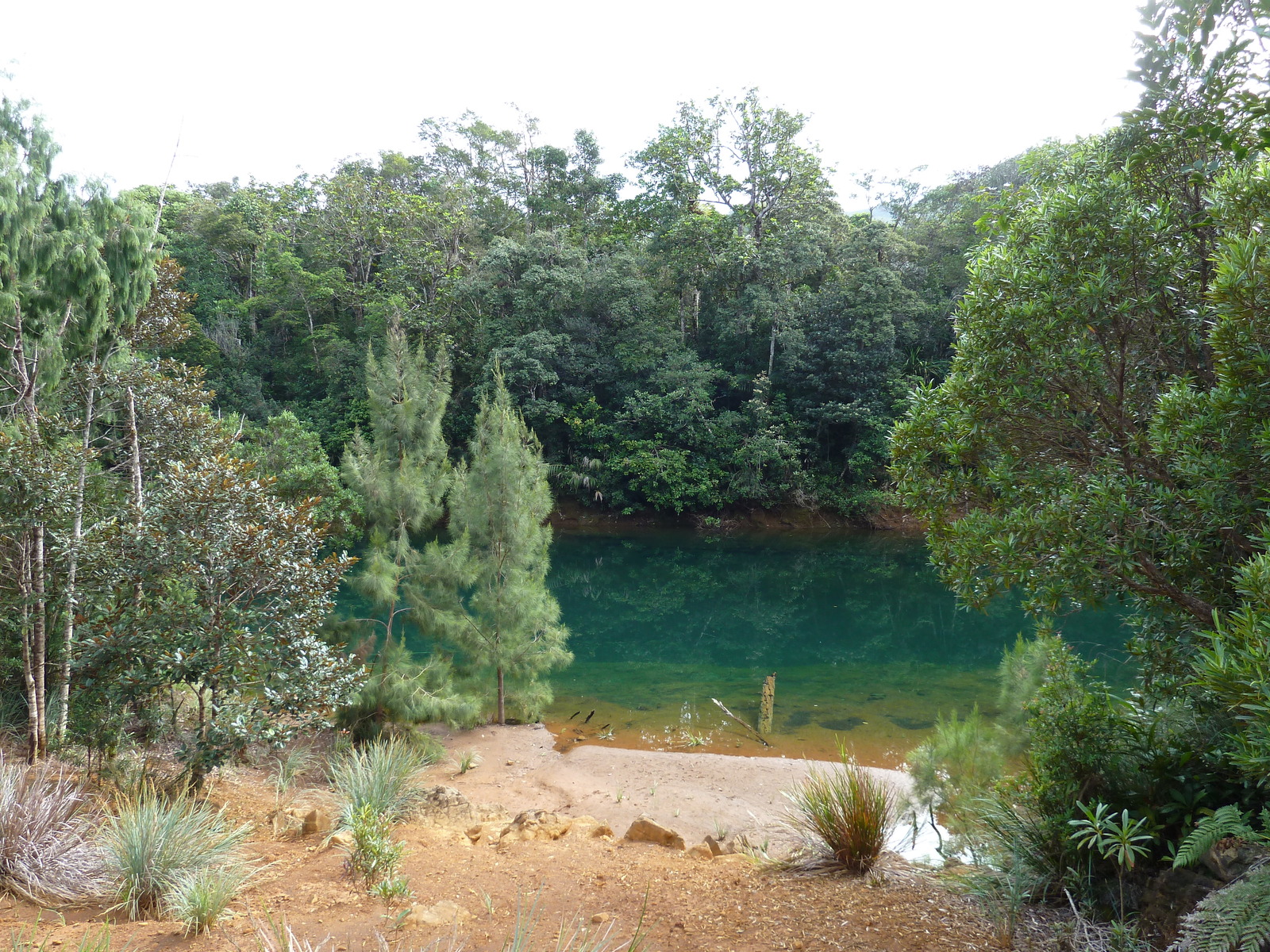 Picture New Caledonia Parc de la Riviere Bleue 2010-05 154 - Sightseeing Parc de la Riviere Bleue