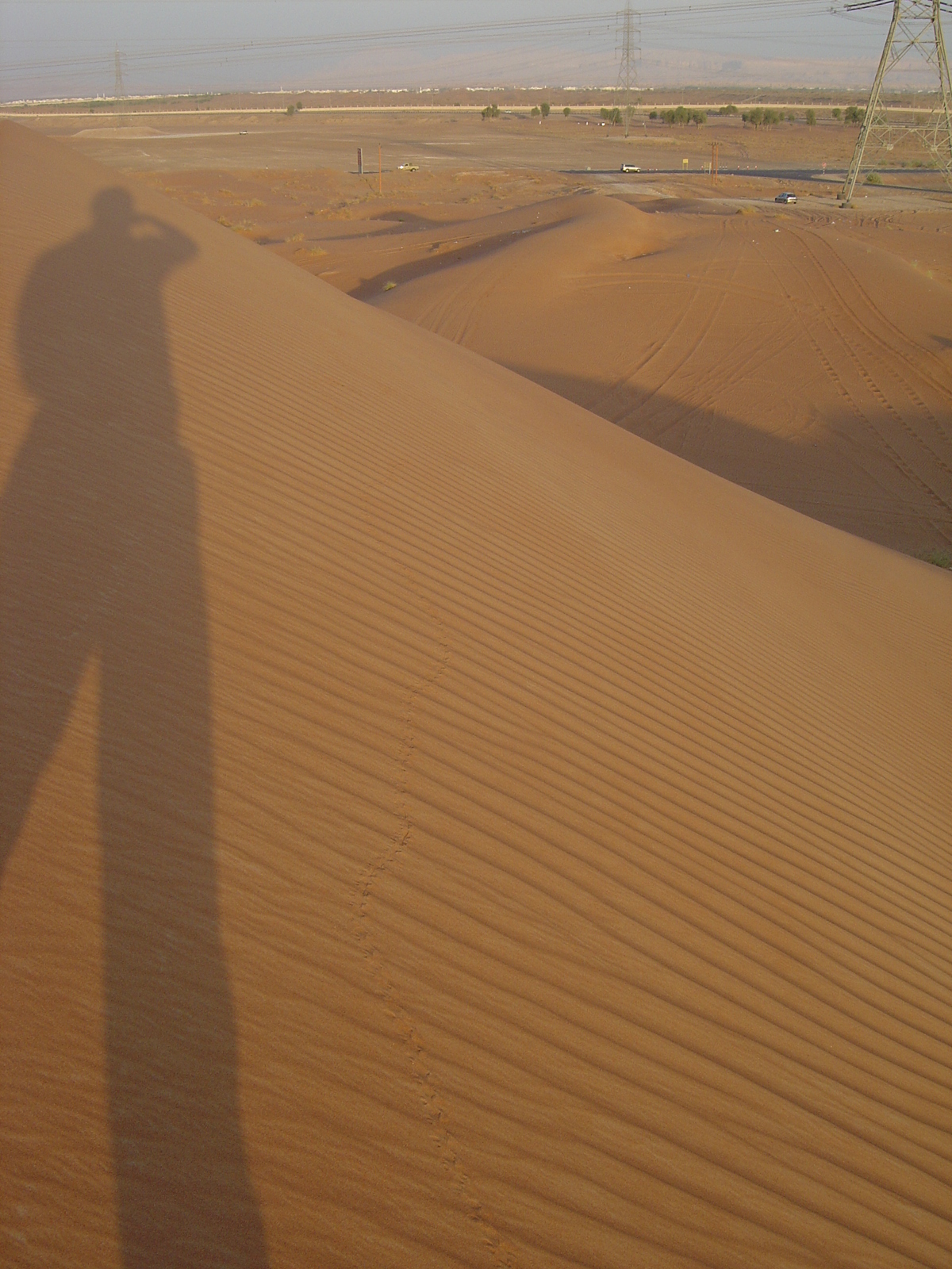 Picture United Arab Emirates Al Ain Desert 2005-11 12 - Sightseeing Desert