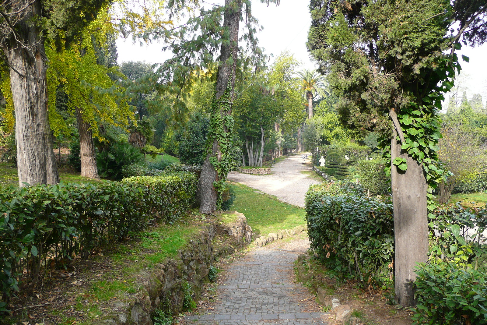 Picture Italy Rome Villa Sciarra 2007-11 48 - Flight Villa Sciarra