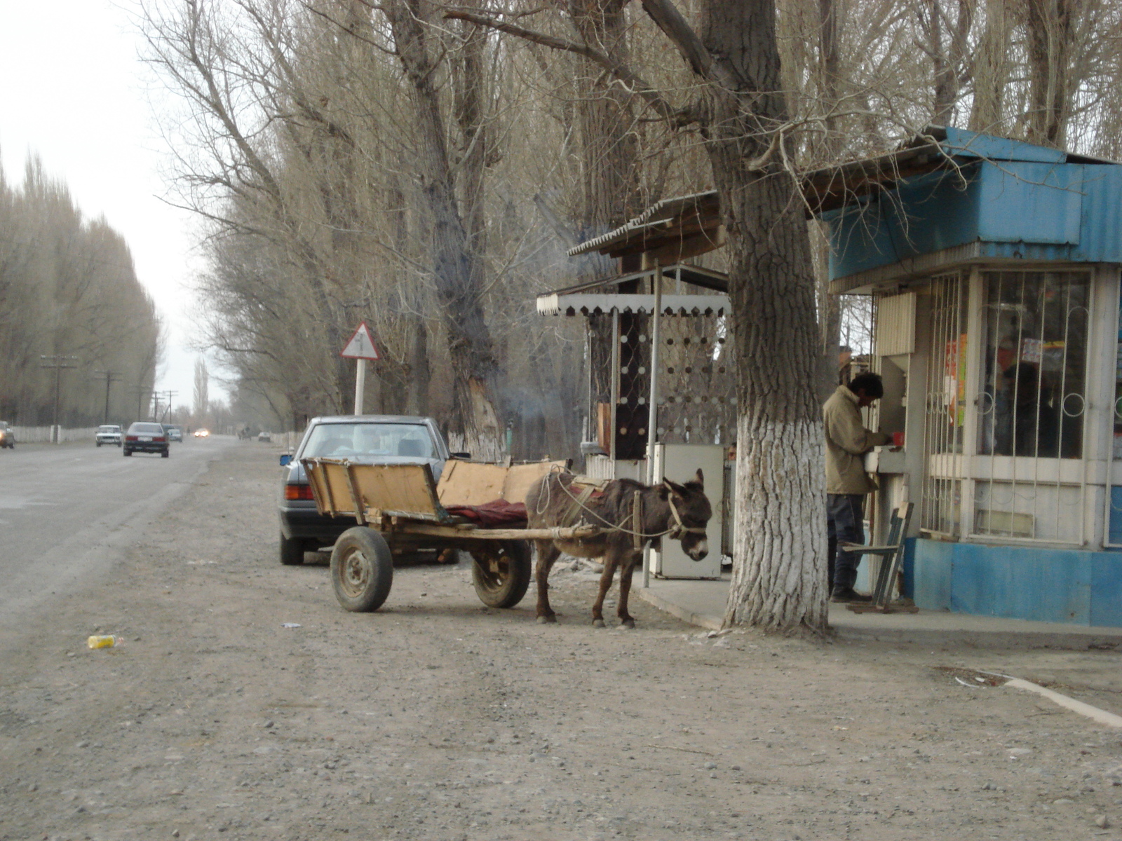 Picture Kazakhstan Almaty to Charyn Canyon road 2007-03 141 - Flight Almaty to Charyn Canyon road