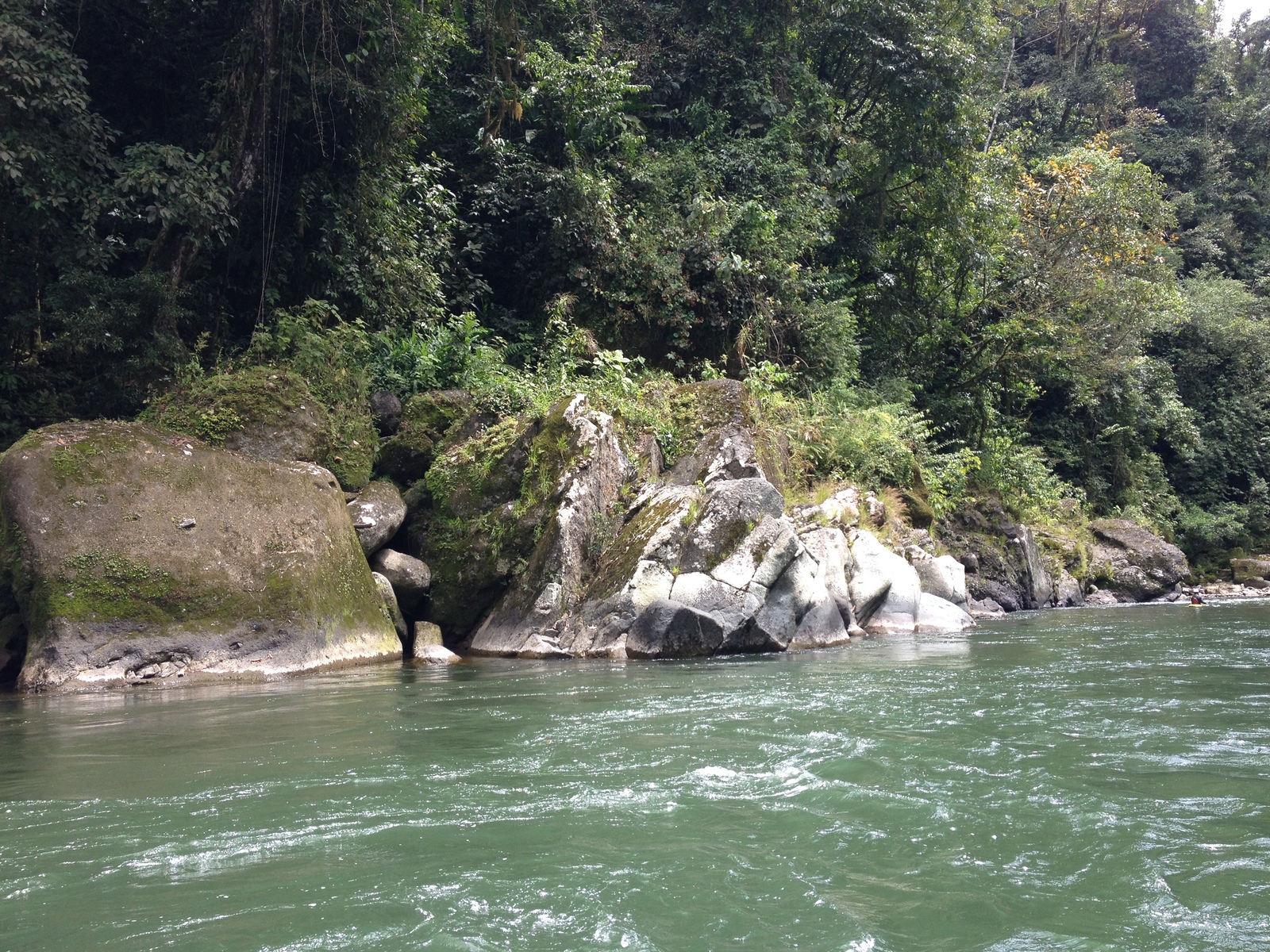 Picture Costa Rica Pacuare River 2015-03 190 - Trail Pacuare River