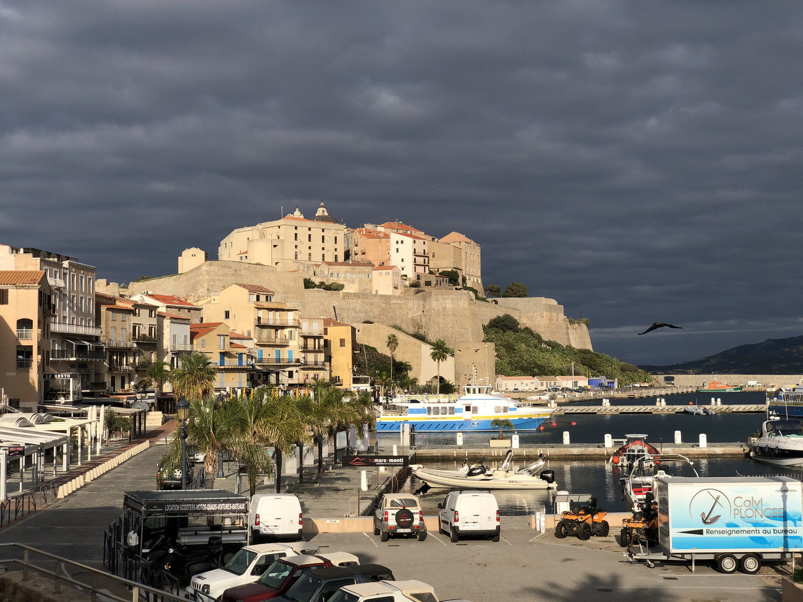 Picture France Corsica Calvi 2020-10 34 - Photographer Calvi