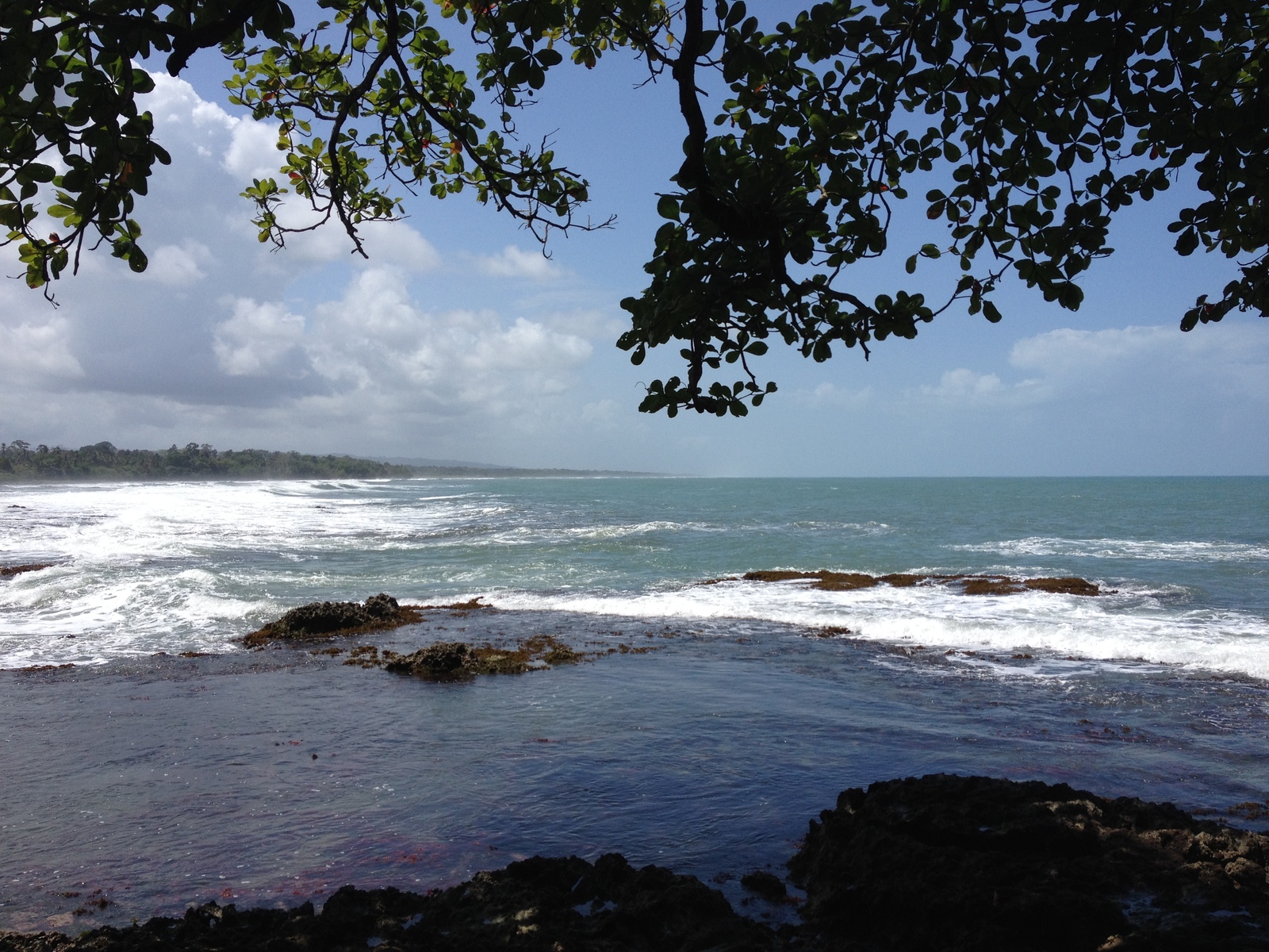 Picture Costa Rica Cahuita 2015-03 72 - Sight Cahuita