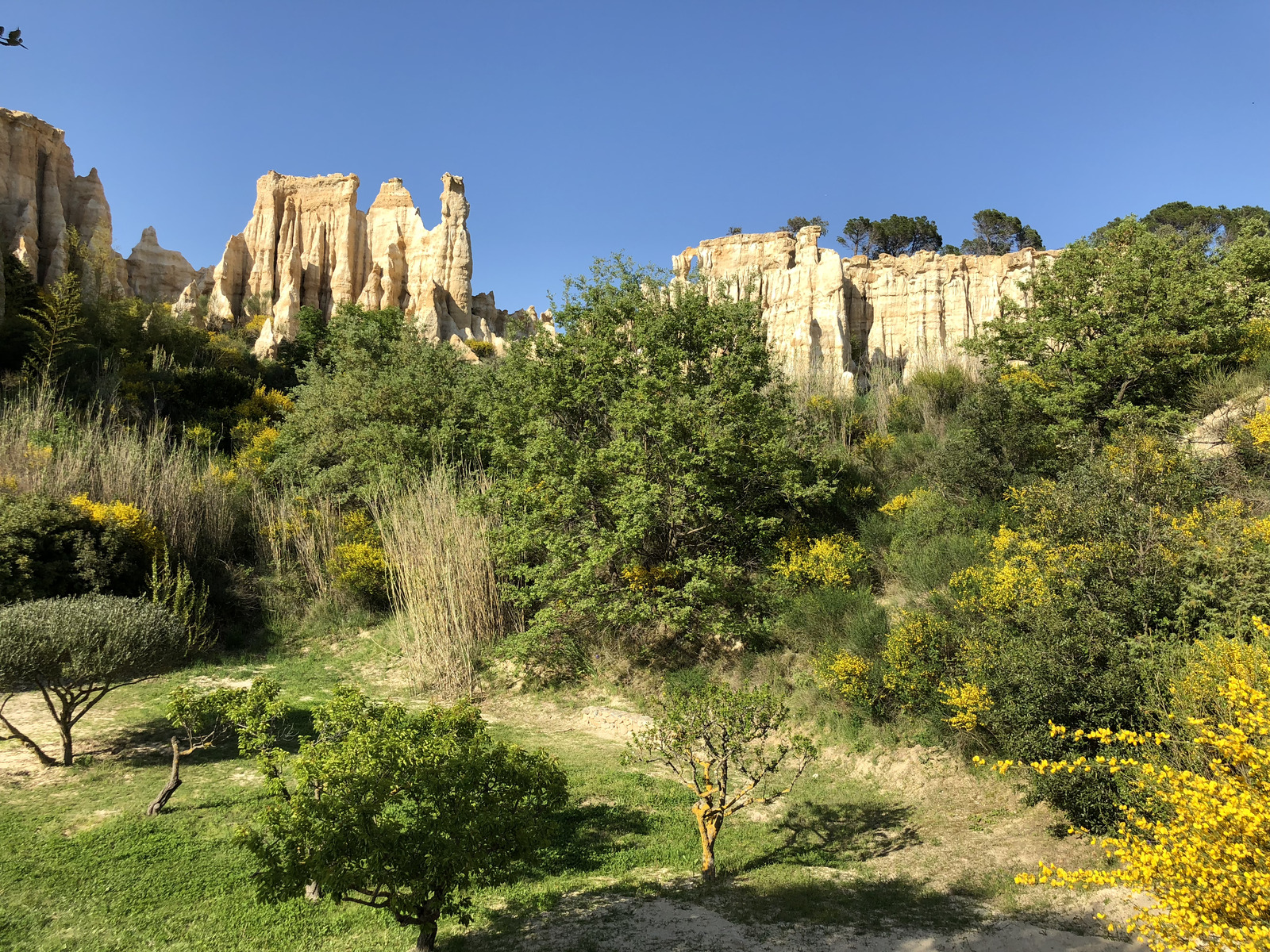 Picture France Orgues d'Ille Sur Tet 2018-04 98 - Randonee Orgues d'Ille Sur Tet