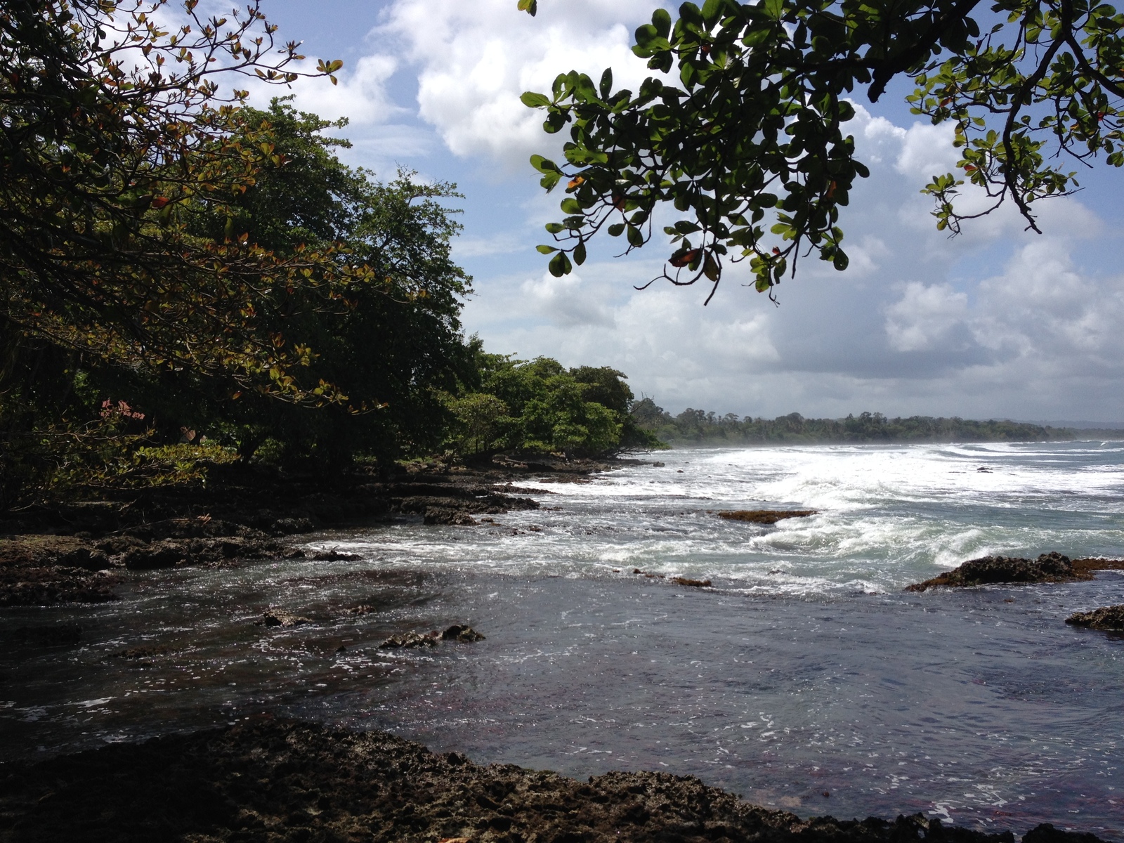 Picture Costa Rica Cahuita 2015-03 22 - Flights Cahuita