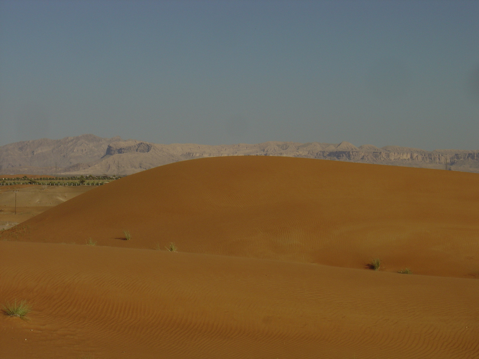 Picture United Arab Emirates Dubai to Al Ain road 2005-03 39 - Perspective Dubai to Al Ain road