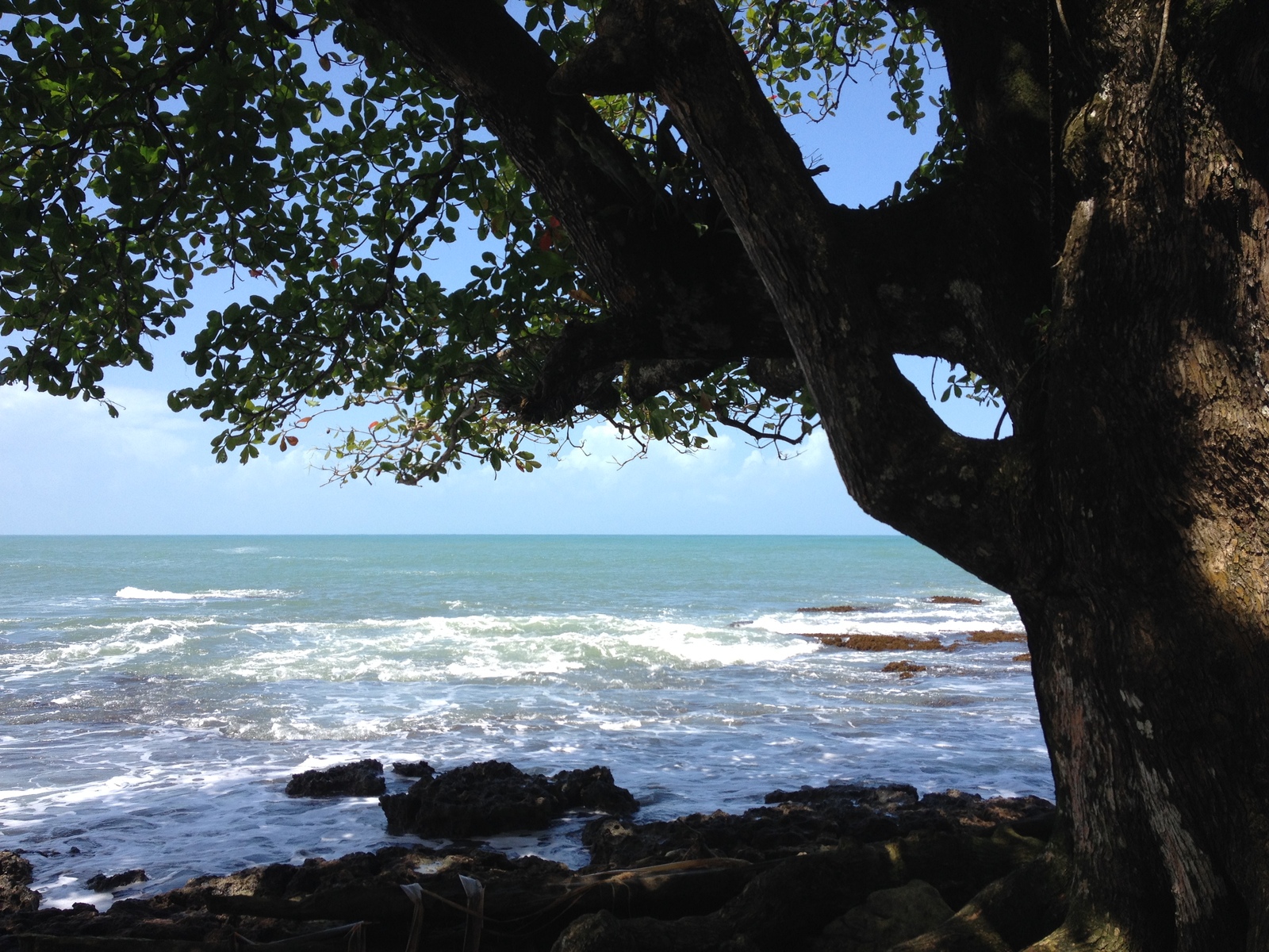 Picture Costa Rica Cahuita 2015-03 15 - Sightseeing Cahuita