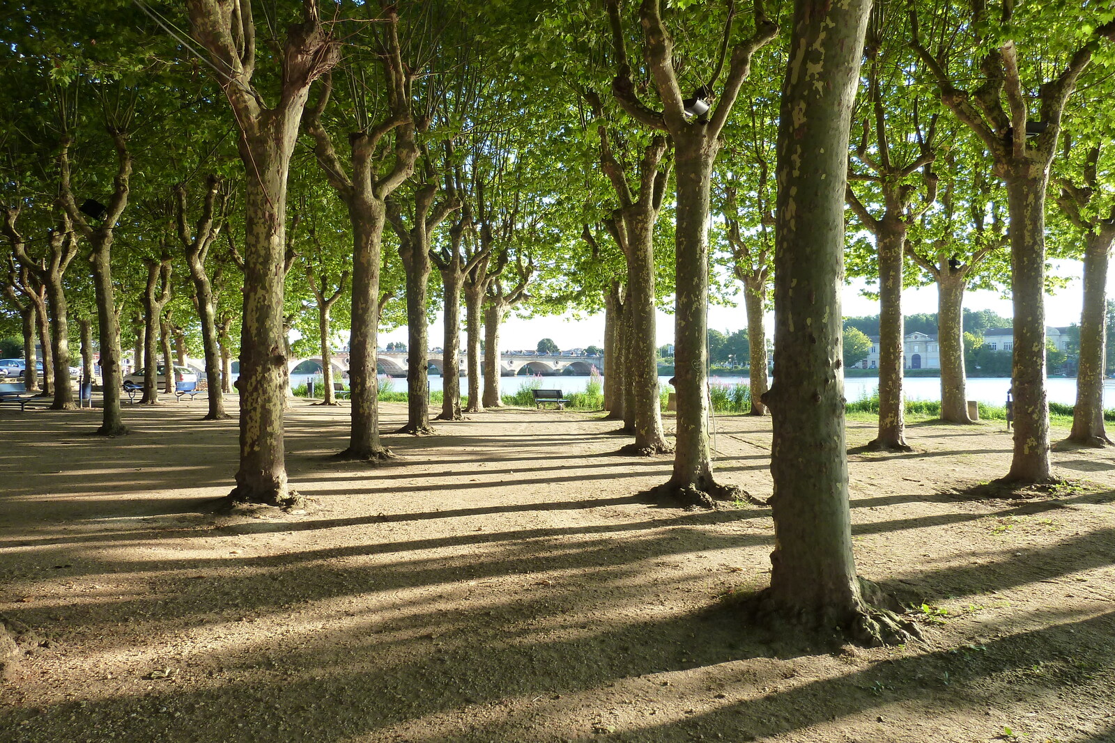 Picture France Libourne 2010-08 15 - Perspective Libourne