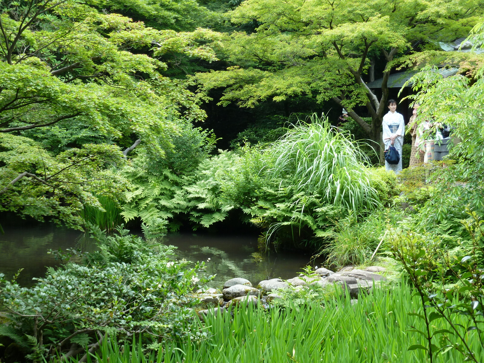 Picture Japan Tokyo Nezu Museum 2010-06 87 - View Nezu Museum