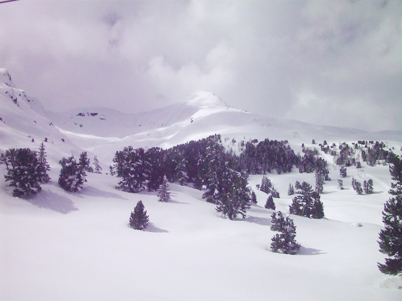 Picture Swiss Grindelwald 1999-04 17 - Visit Grindelwald