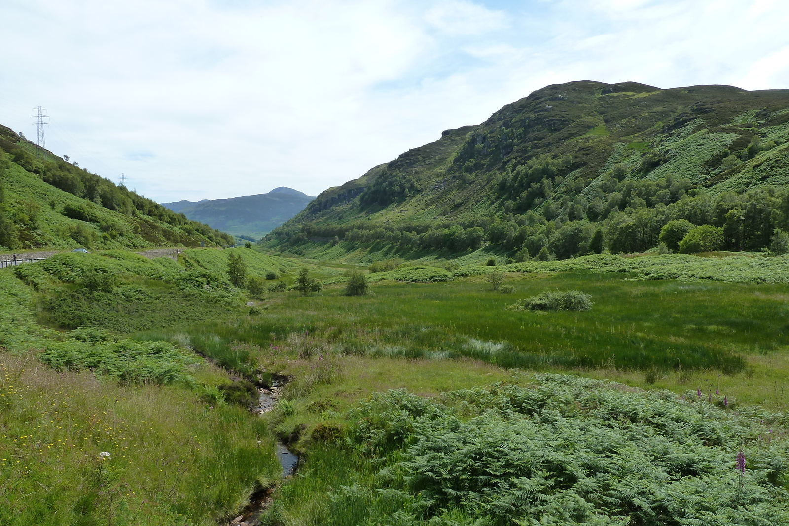 Picture United Kingdom The Trossachs 2011-07 78 - Discover The Trossachs