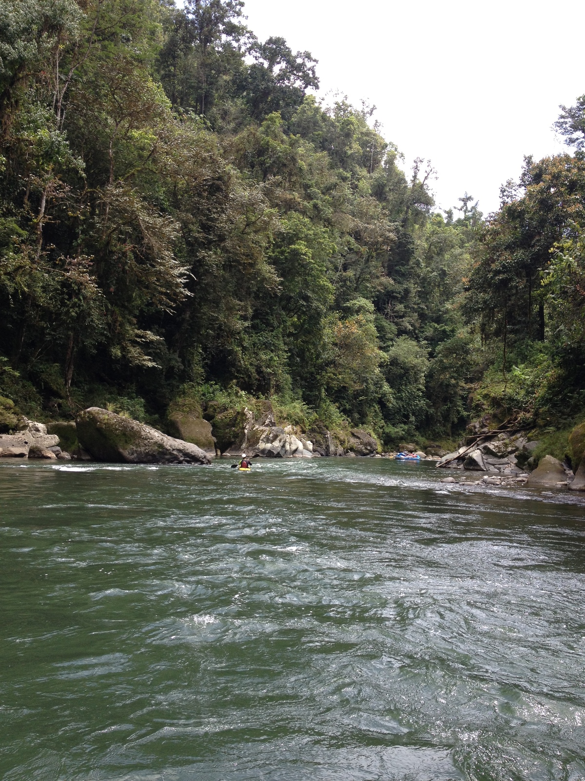 Picture Costa Rica Pacuare River 2015-03 150 - Sight Pacuare River